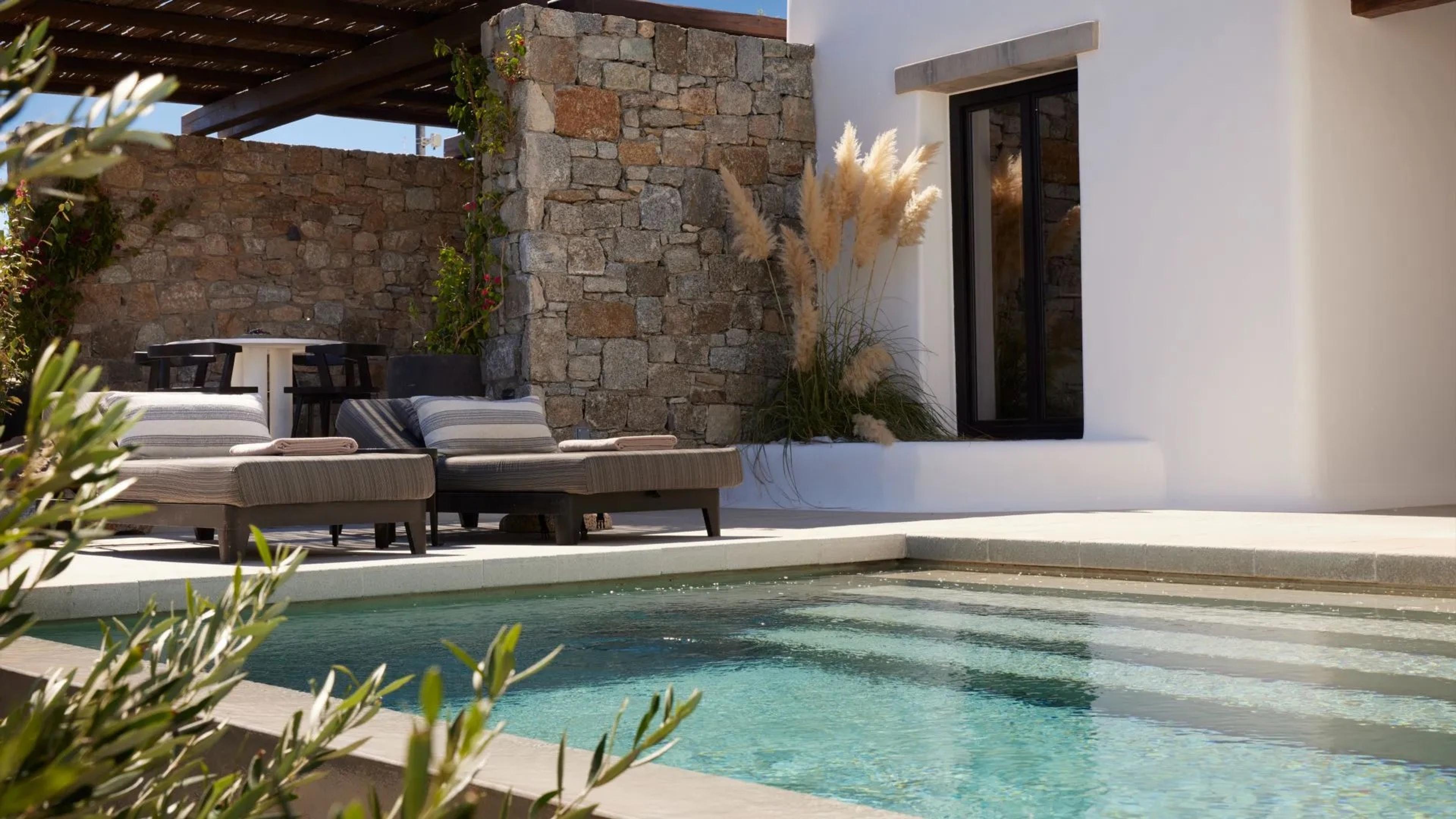 A private pool beside a stone wall and pampas grass, with a window in the white building behind.