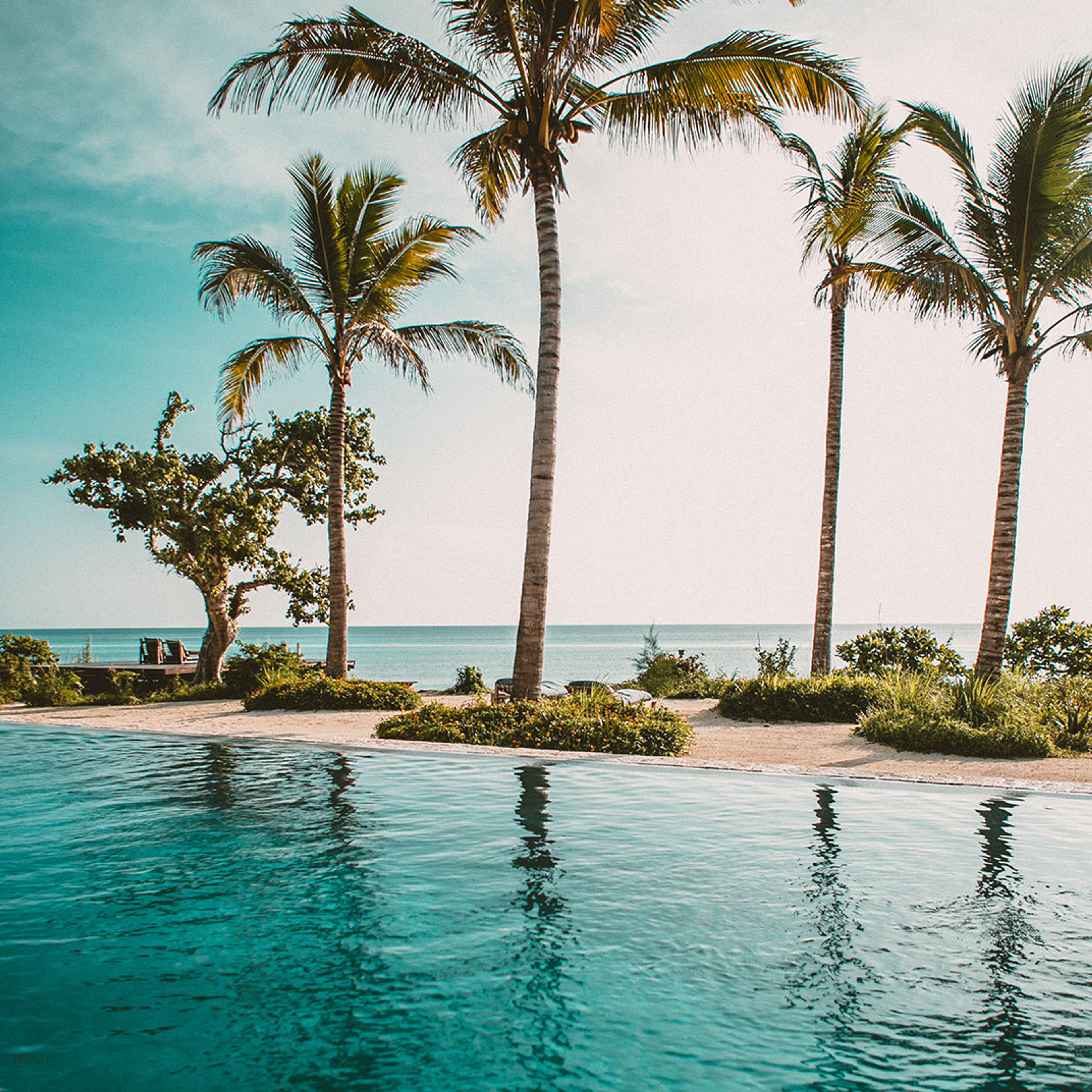 The pool facing the Indian Ocean, with palms along the edge