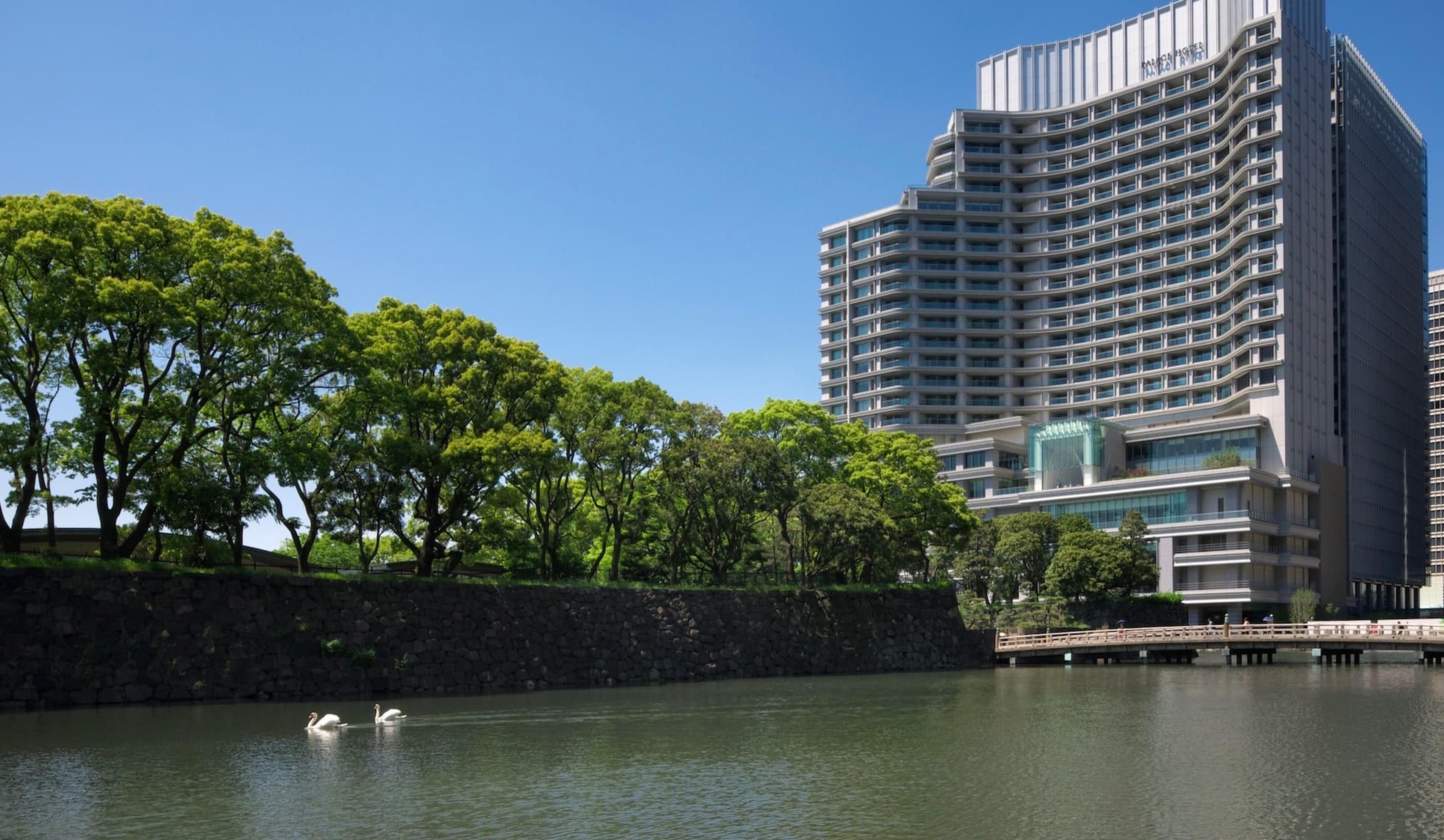A hotel tower beside a tree-lined moat, two swans on the water below a stone wall.