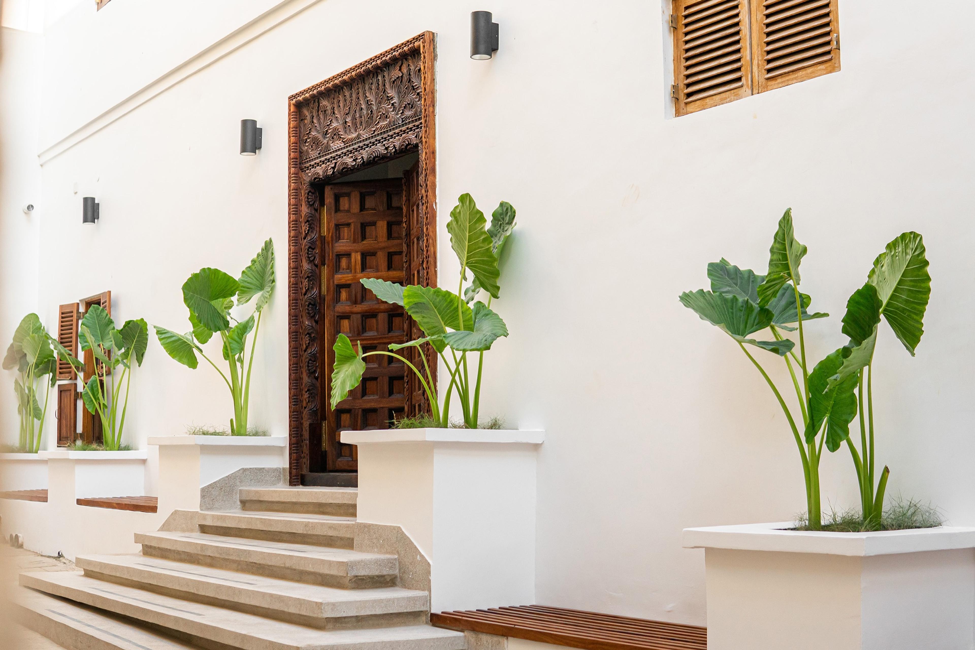 A carved wooden door framed by potted plants at the top of a short flight of stone steps.