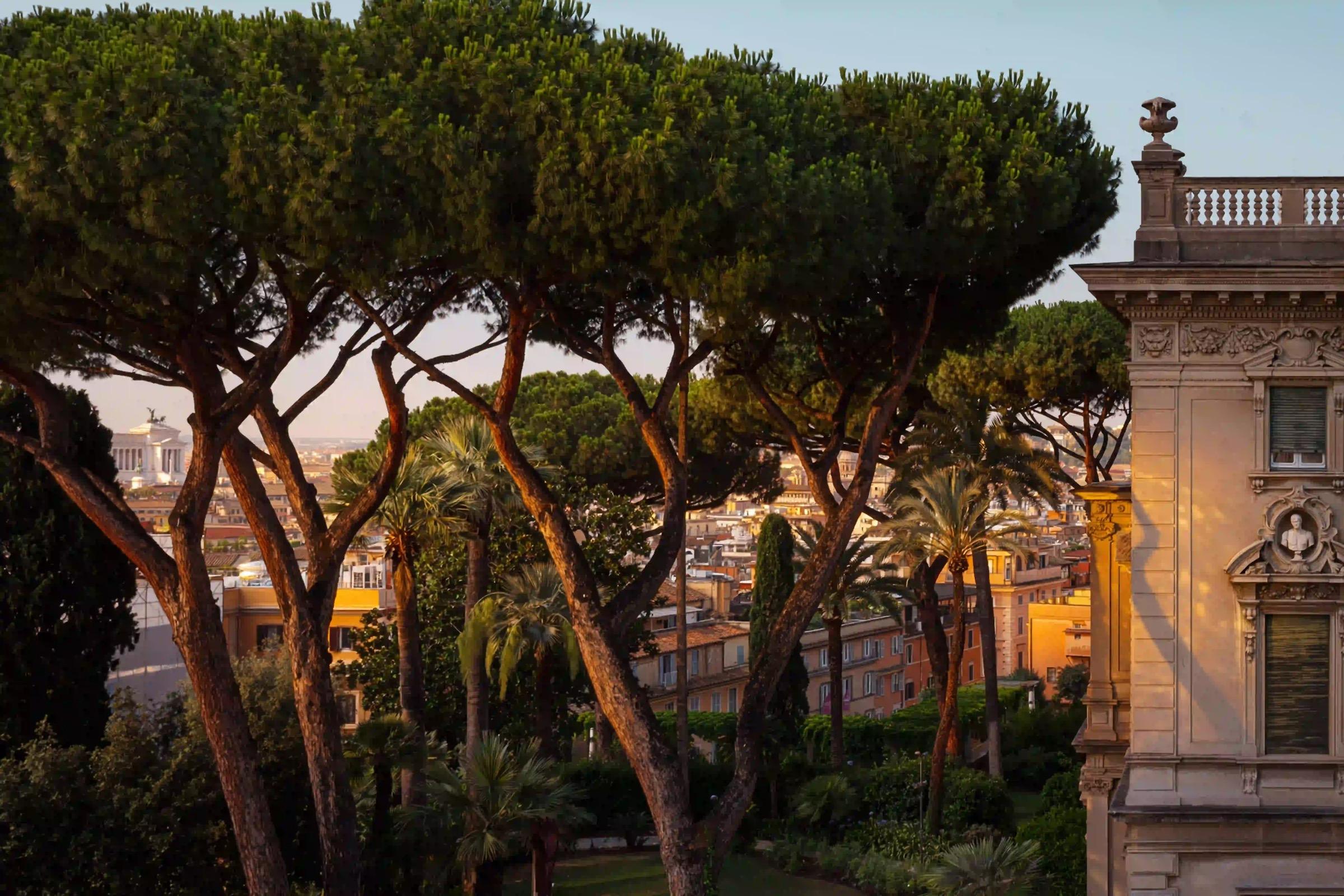 Stone pine and palm trees in a garden at golden hour, with Rome's rooftops and a domed monument visible in the distance.