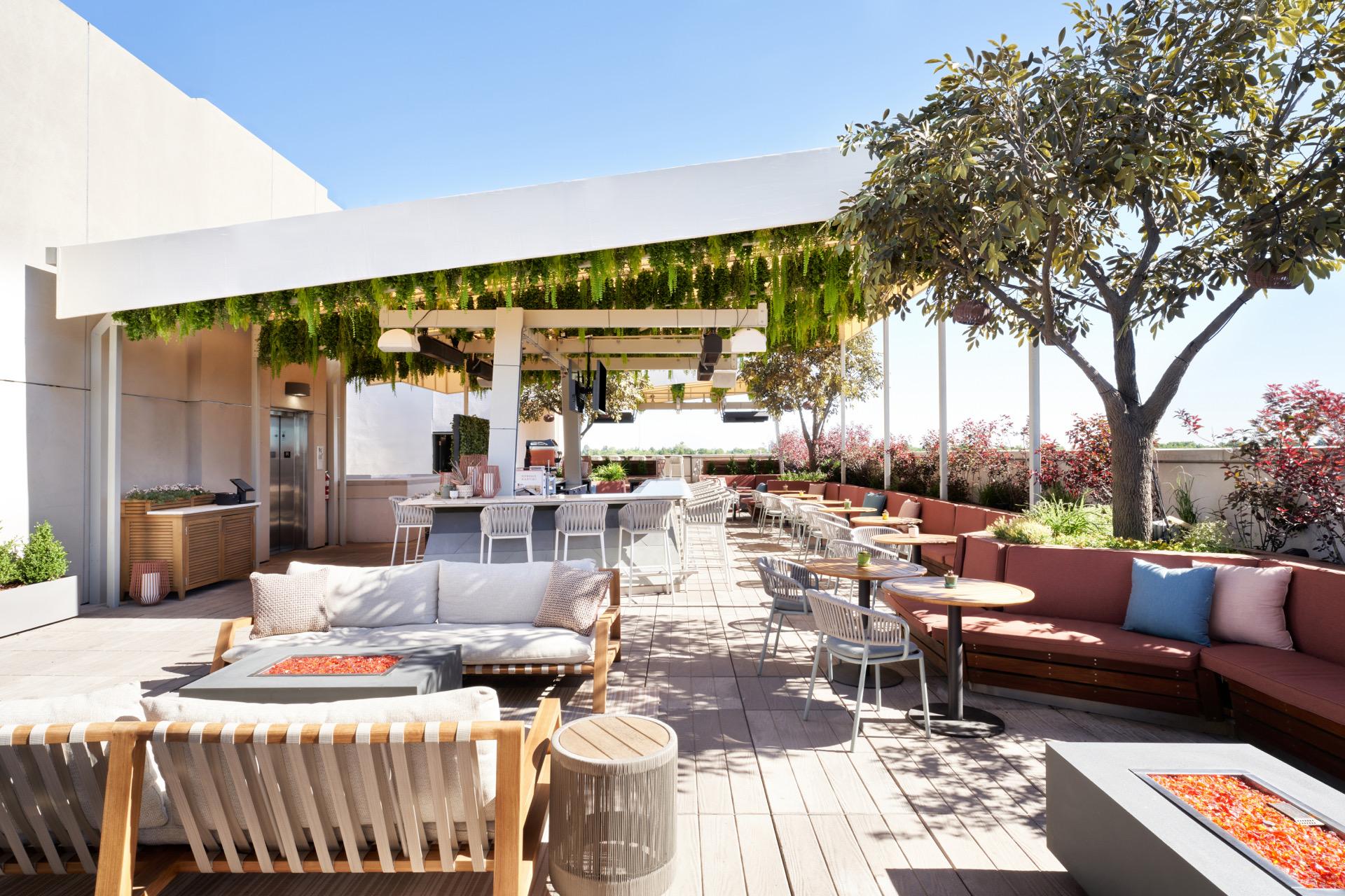 A rooftop lounge with cream sofas and low tables around fire pits, under a leafy pergola, with a tree, bistro chairs and a bar counter beyond, and a blue sky above.