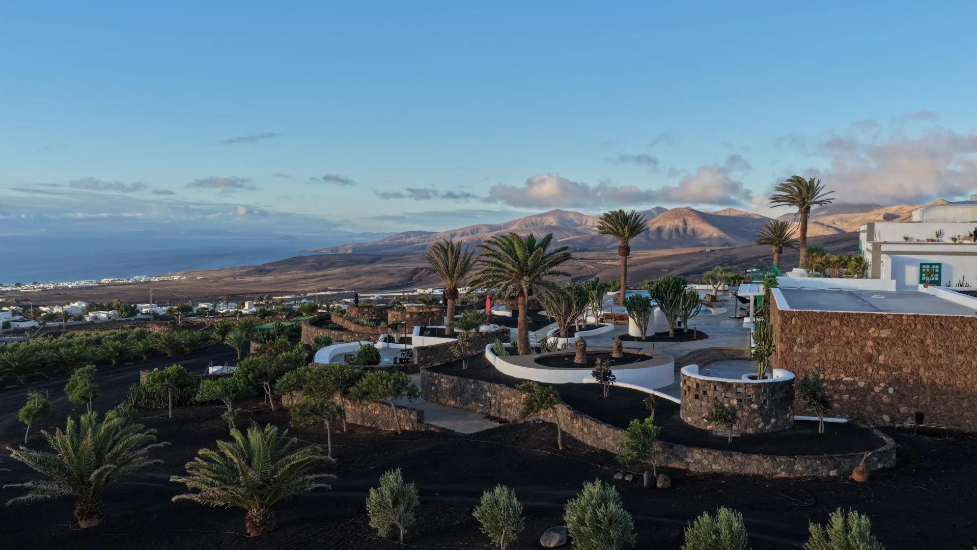 A black volcanic hillside terraced with stone-walled garden beds and palm trees, seen from above in daylight, with the sea in the distance and part of a white building at the edge of the frame.
