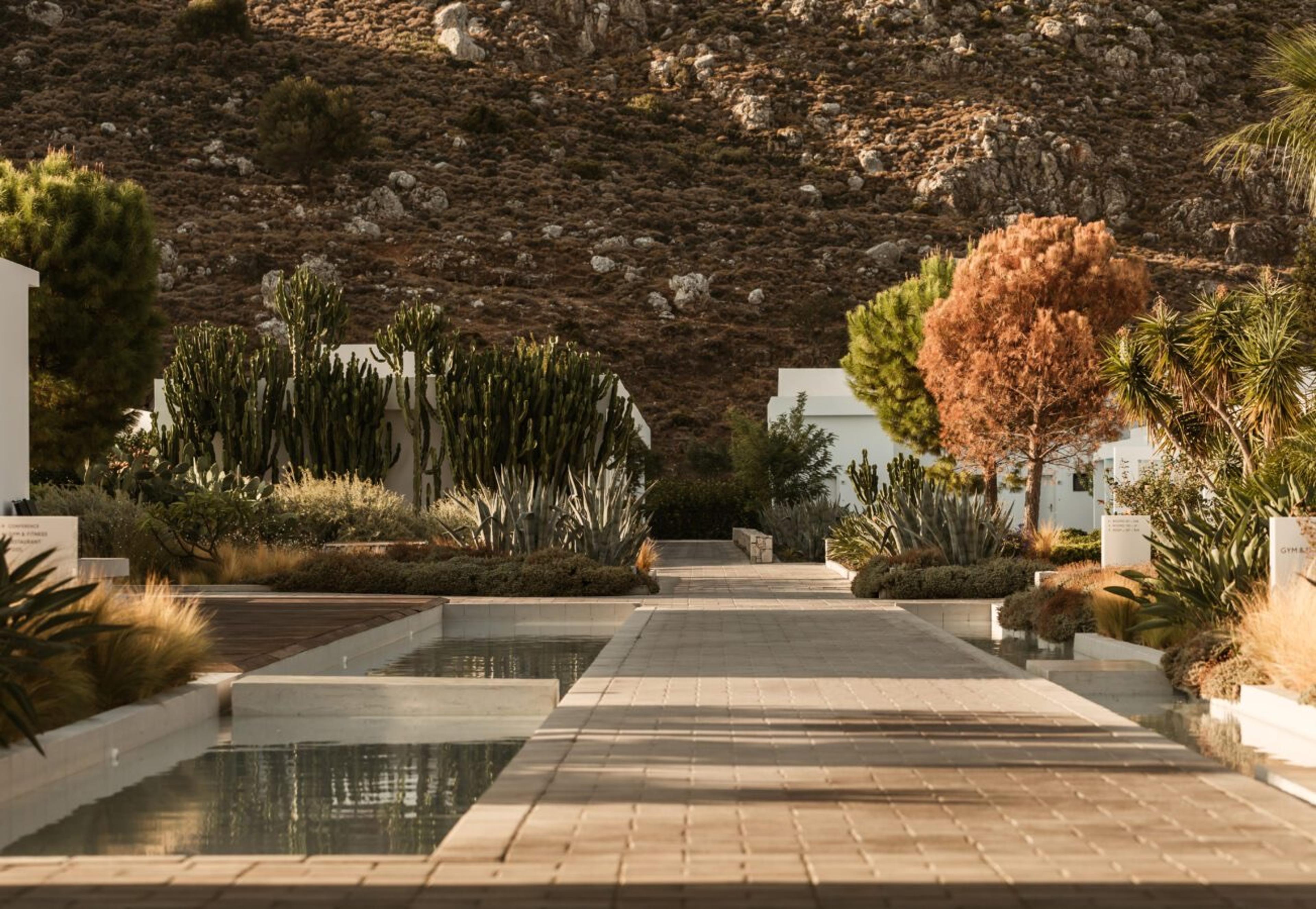 A paved path runs between shallow white-edged pools, with tall cacti, a tree and a low white building beyond and the same dry hillside behind.