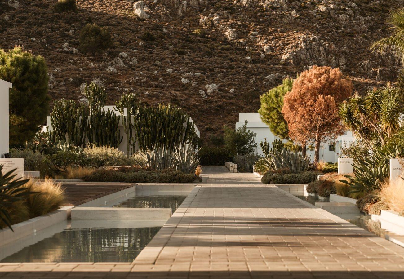 A paved path runs between shallow white-edged pools, with tall cacti, a tree and a low white building beyond and the same dry hillside behind.
