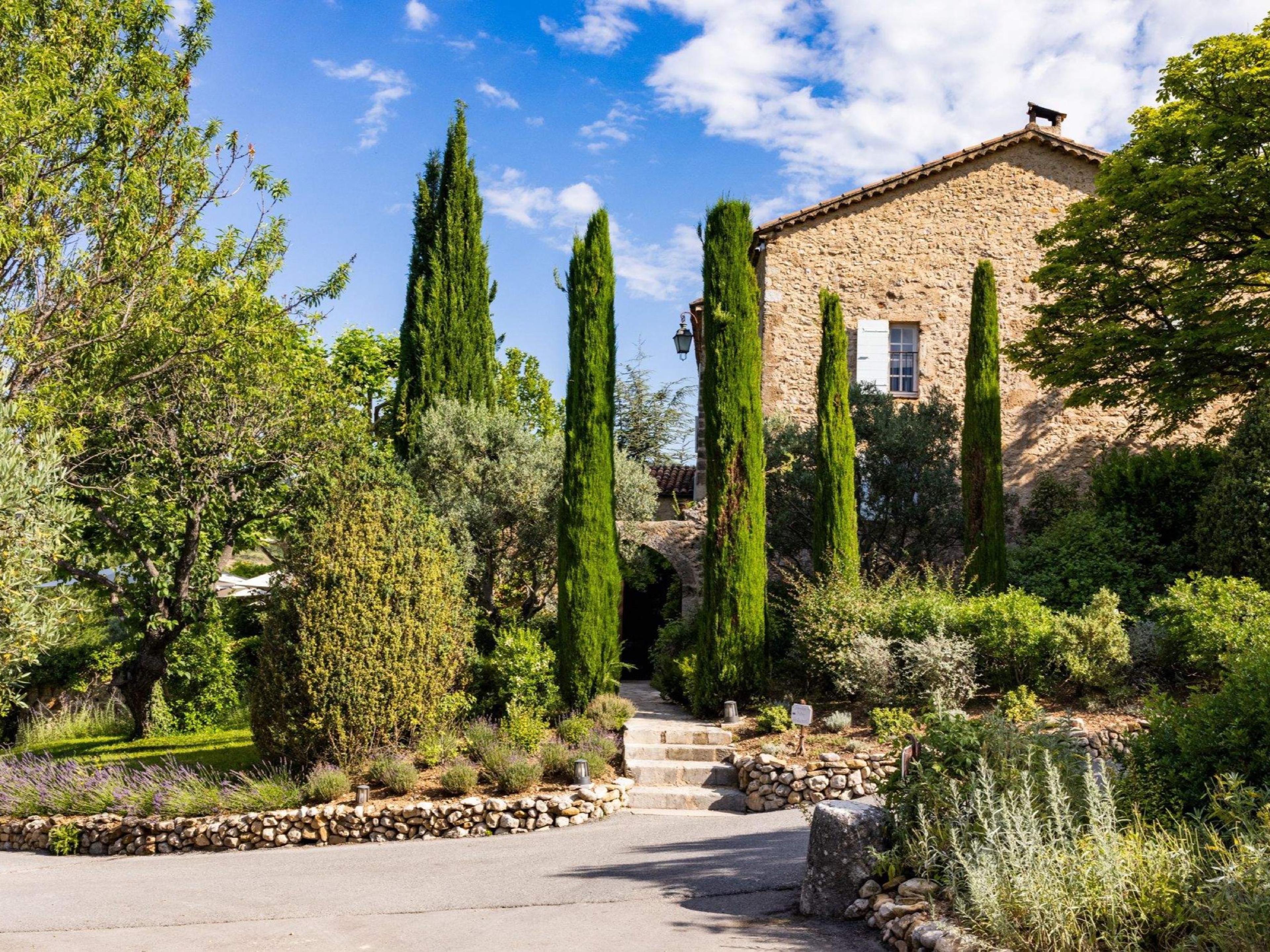 A golden stone house behind a row of tall cypresses, with lavender and olive trees along a dry-stone wall