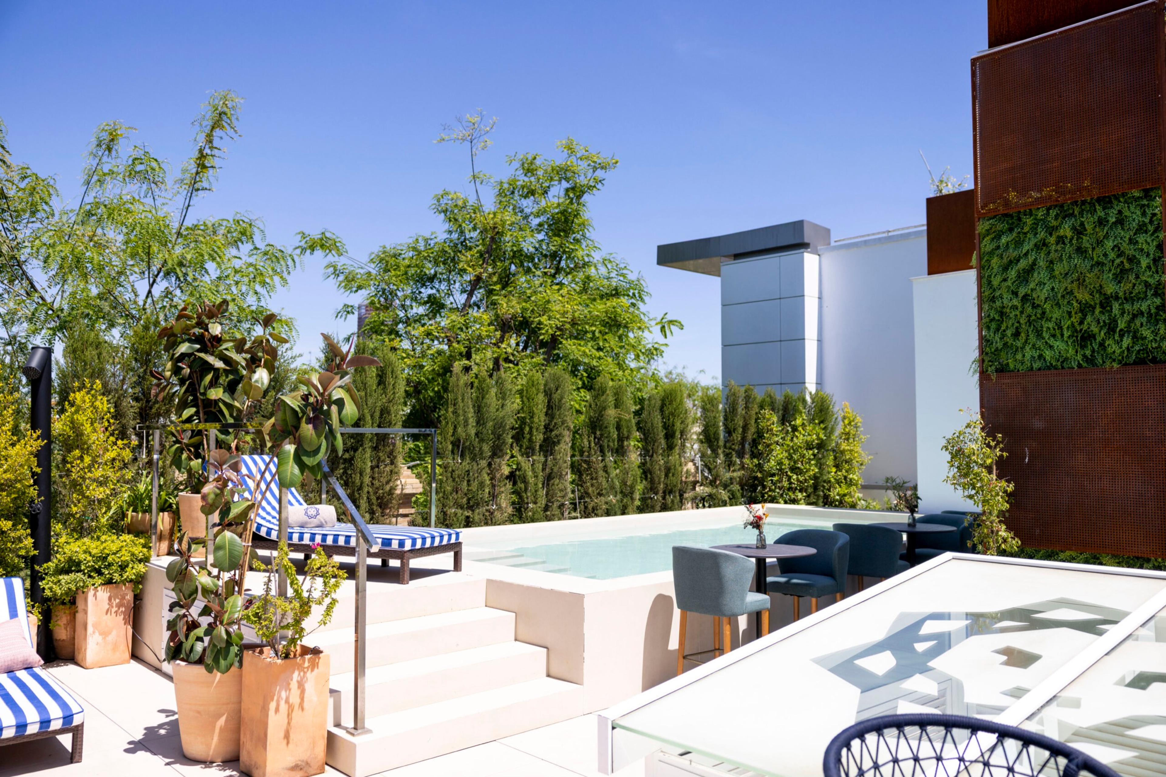 a rooftop terrace with a small plunge pool, striped sun loungers and potted plants, with trees and city buildings behind under a blue sky