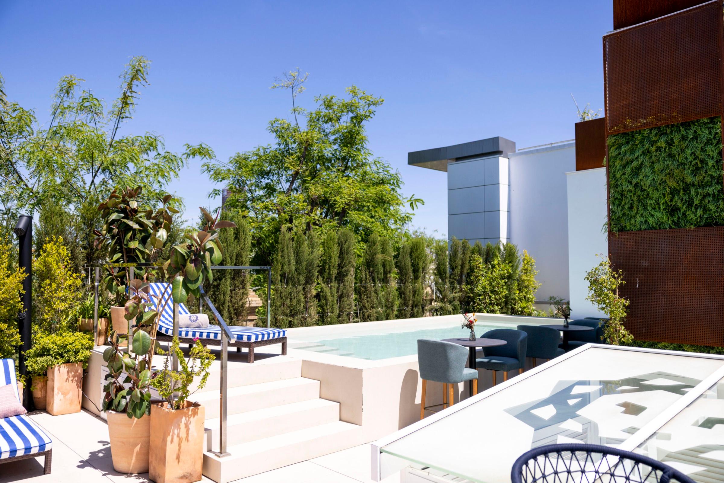 a rooftop terrace with a small plunge pool, striped sun loungers and potted plants, with trees and city buildings behind under a blue sky