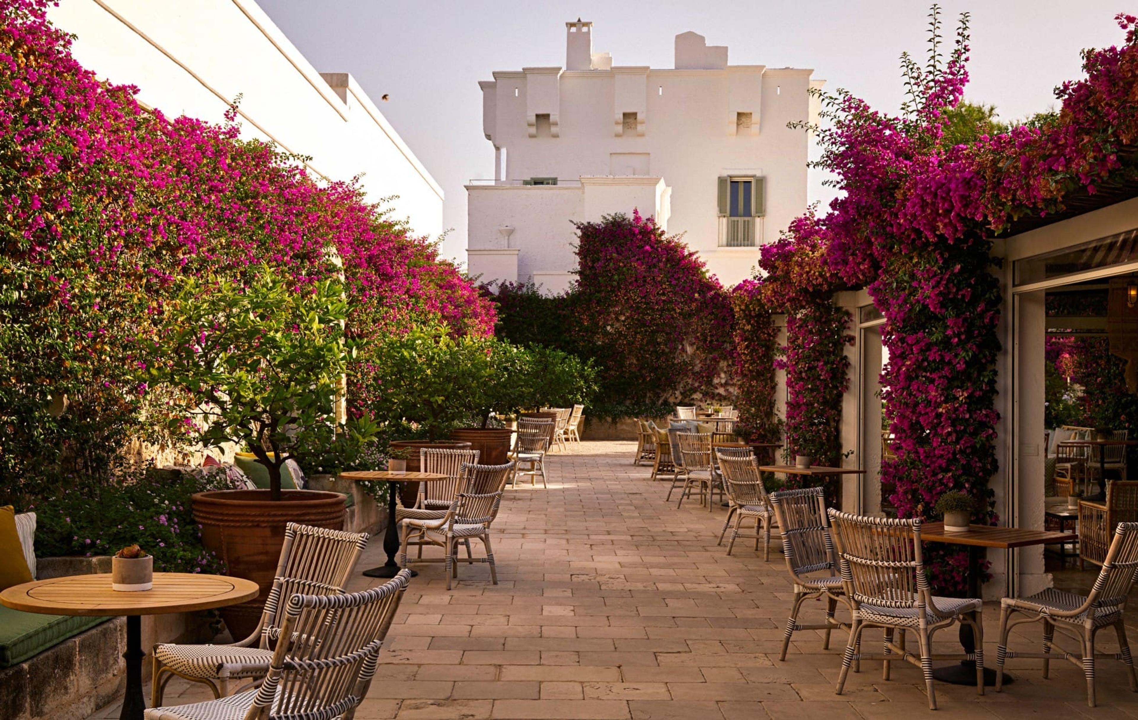 A stone terrace strung with magenta bougainvillea and potted citrus trees, rattan chairs and small tables along it, with a white building at the far end.