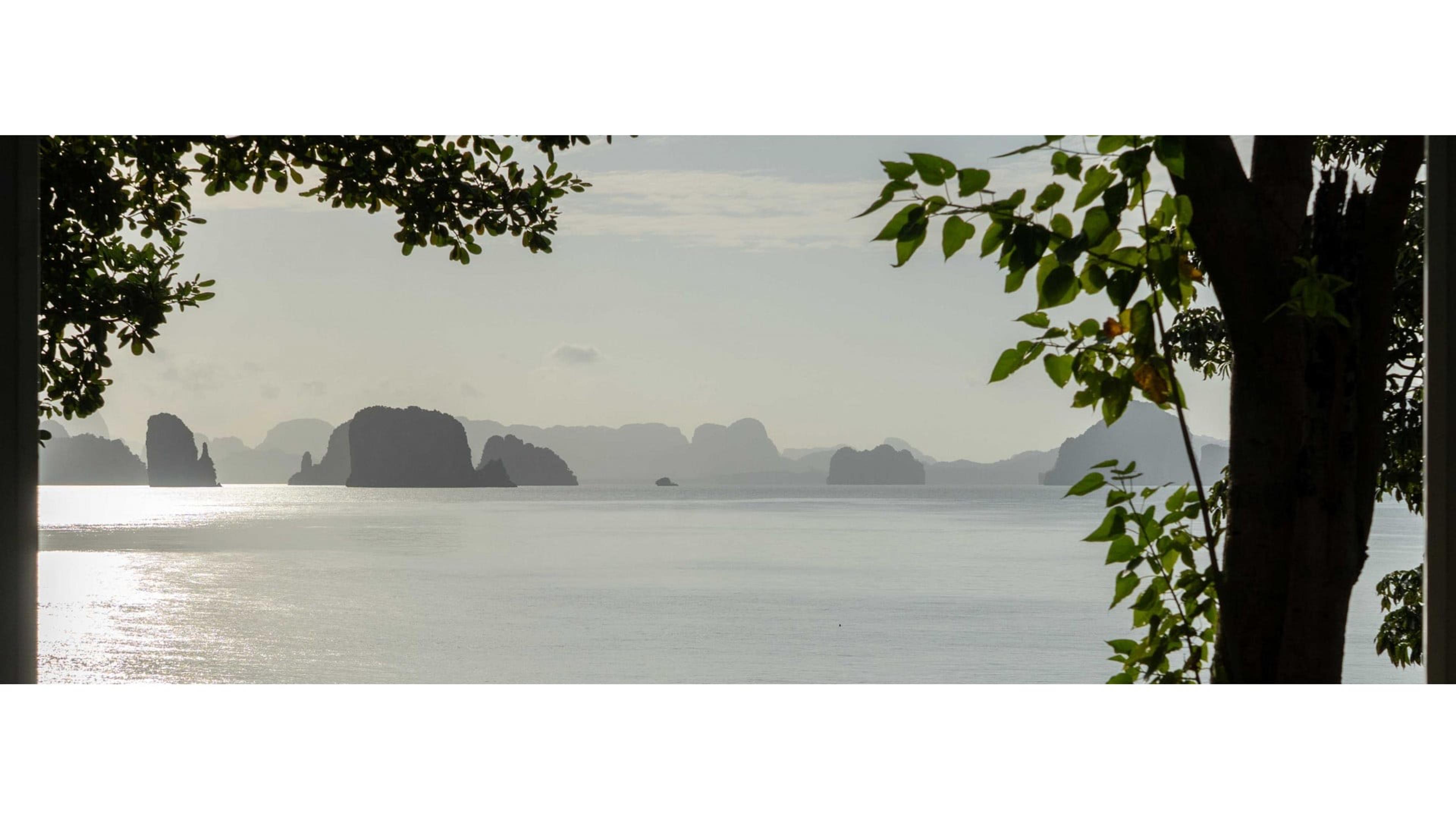 A view through tree branches of limestone sea stacks rising from calm water under a hazy sky.