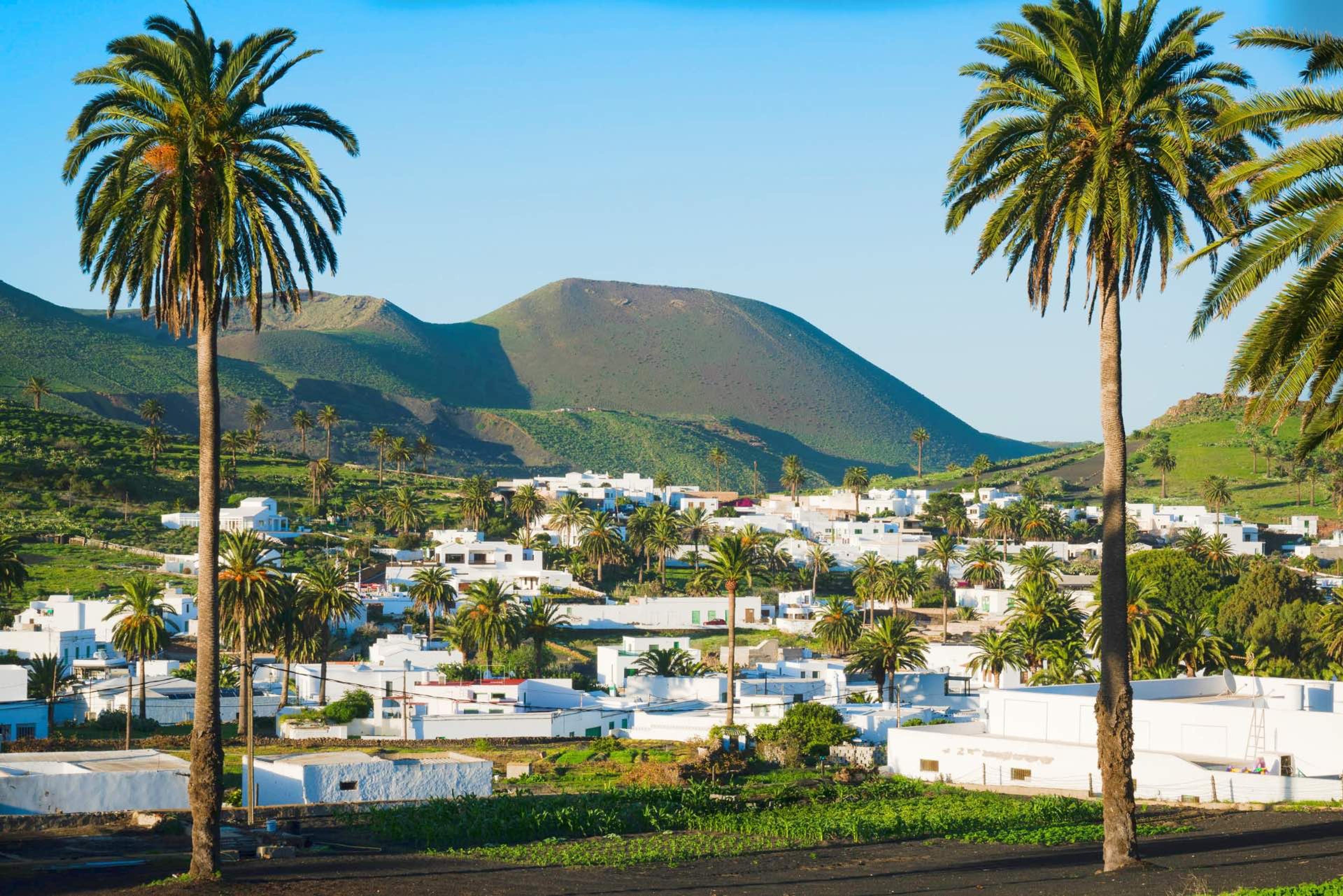Two tall palm trees frame a view of a whitewashed village and a volcanic hill beyond.