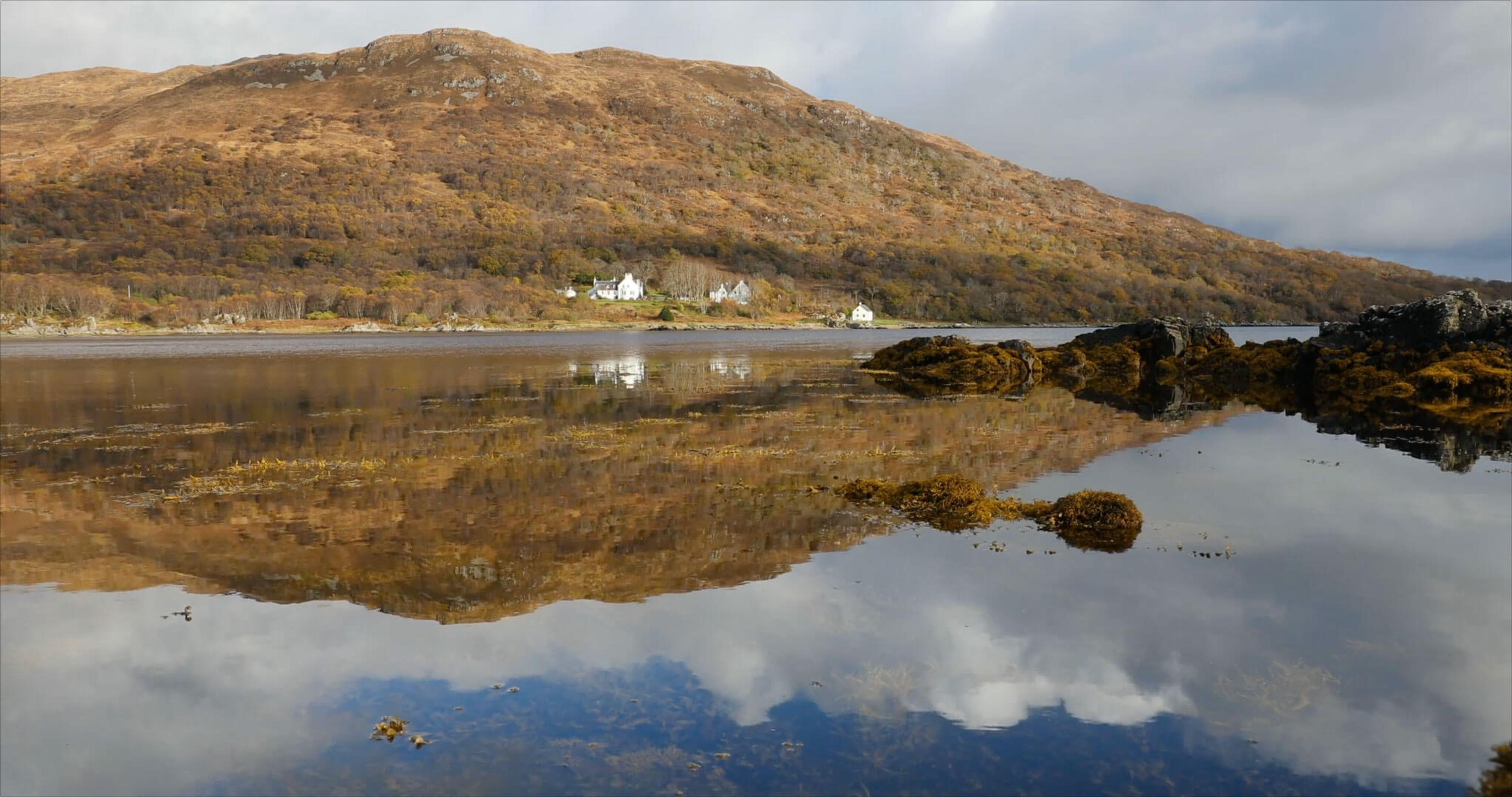 A calm sea loch reflecting a wooded hillside and a row of white buildings on the far shore, with seaweed-covered rocks in the foreground.