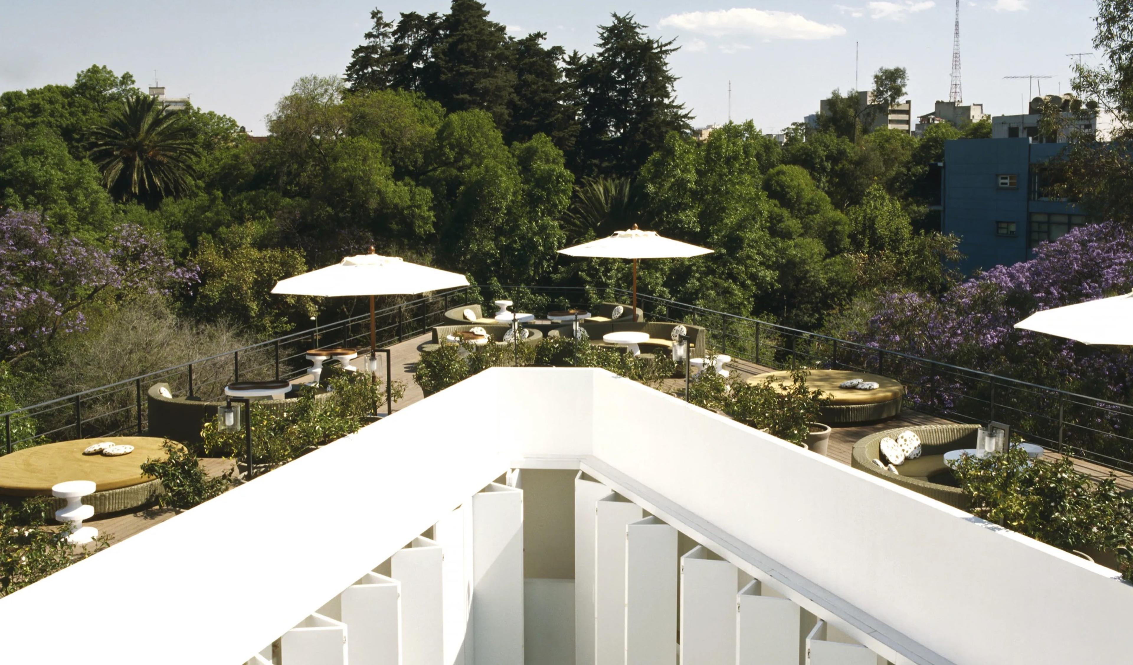 A view along a white rooftop terrace wall over umbrellas and jacaranda trees in bloom, with Mexico City's towers on the horizon.