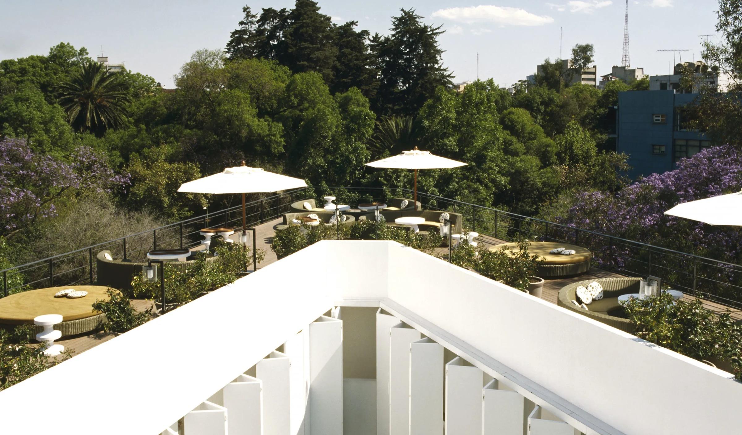 A view along a white rooftop terrace wall over umbrellas and jacaranda trees in bloom, with Mexico City's towers on the horizon.