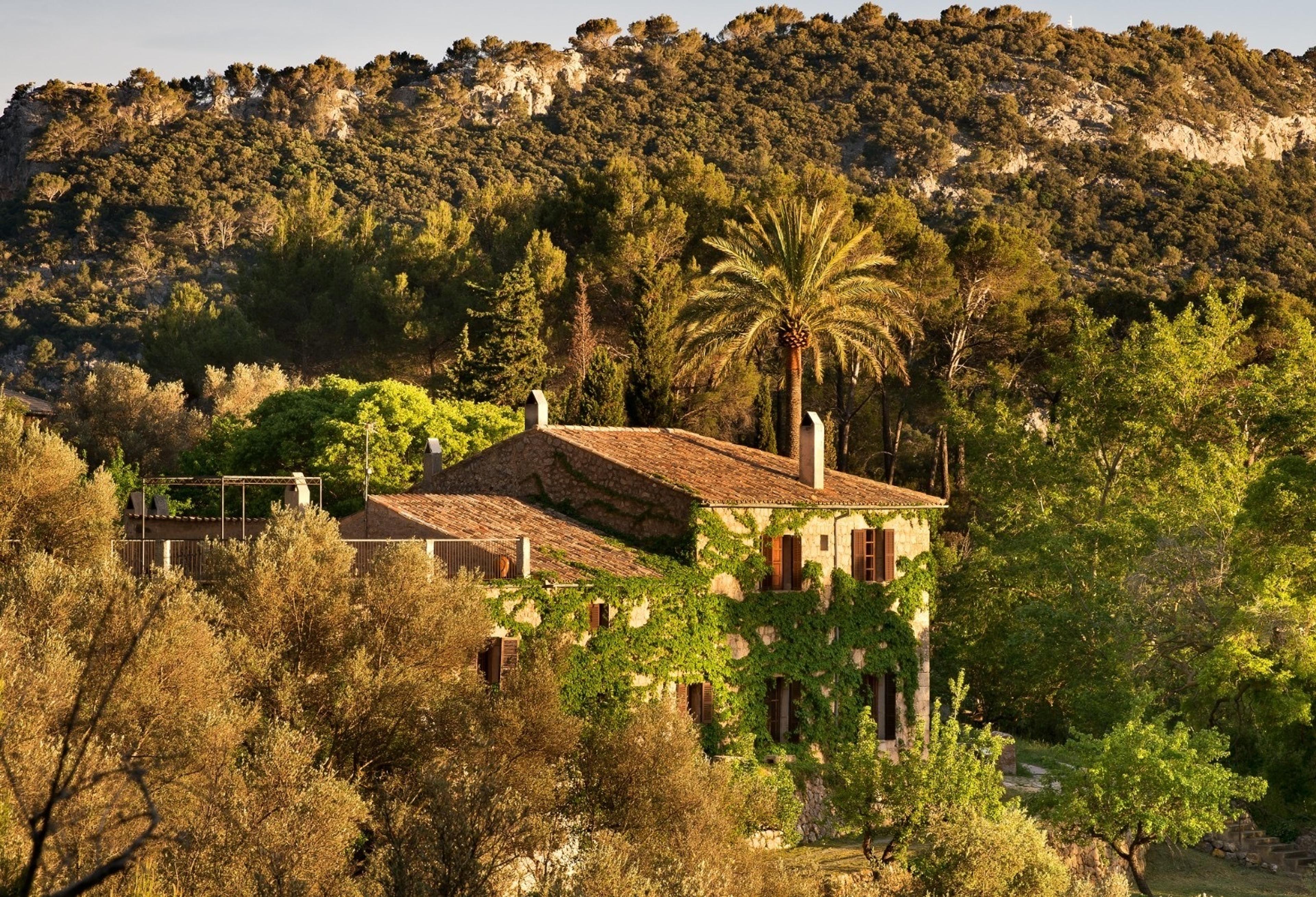 A stone farmhouse with terracotta roofs sits among pine-covered hills and a single tall palm, lit by late sun.