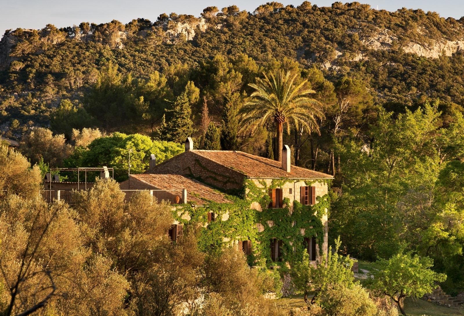 A stone farmhouse with terracotta roofs sits among pine-covered hills and a single tall palm, lit by late sun.