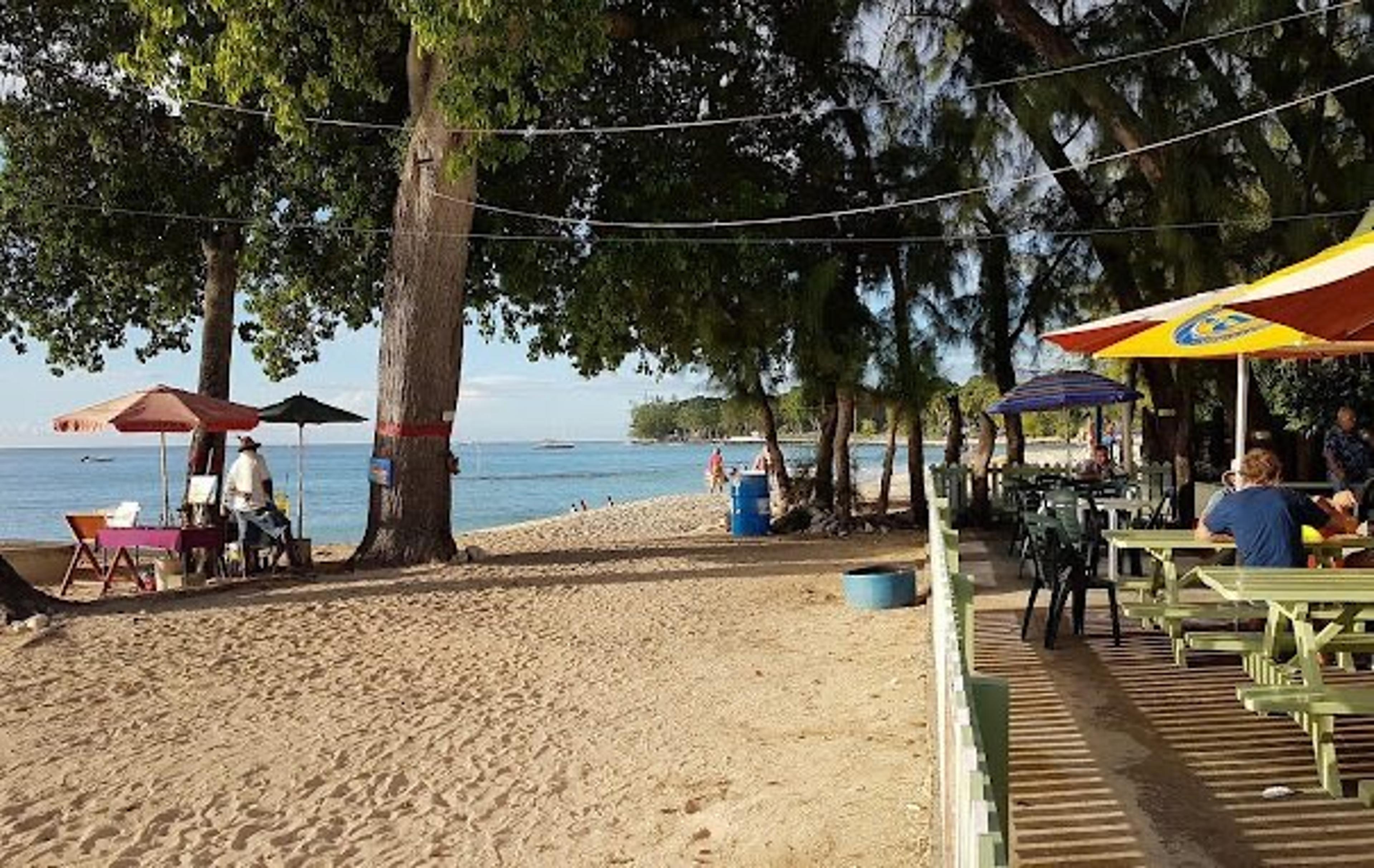 Picnic tables under shady trees beside a sandy beach, umbrellas and the sea beyond