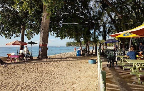 Picnic tables under shady trees beside a sandy beach, umbrellas and the sea beyond