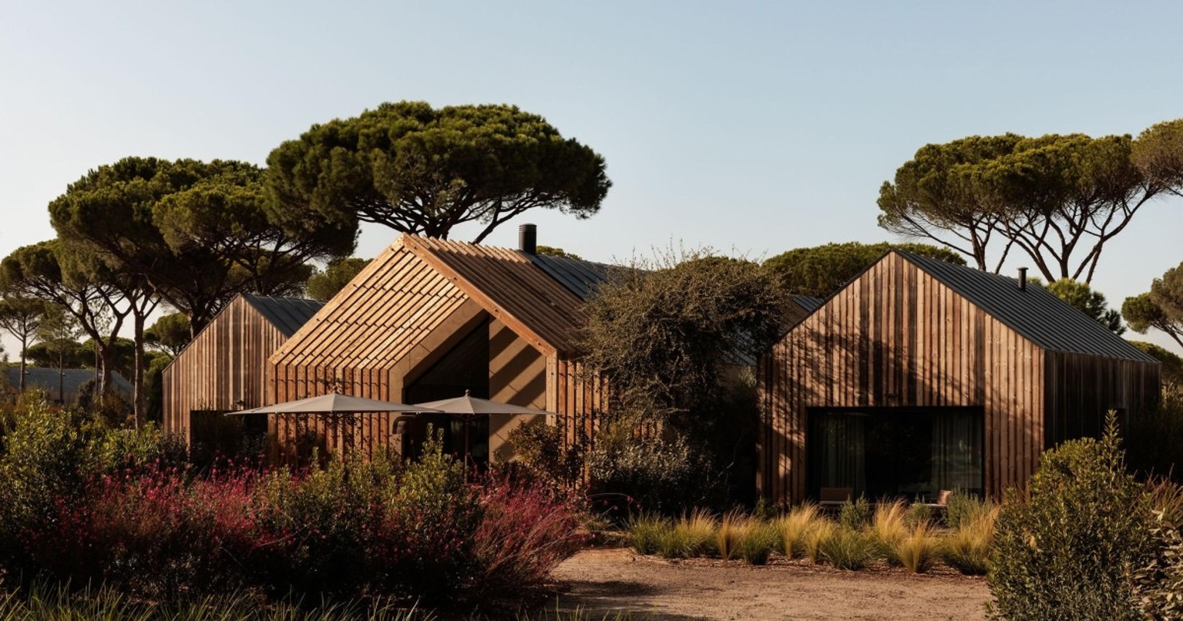 Wood-clad gable cabins among tall umbrella pine trees, with patio umbrellas and flowering shrubs in front.