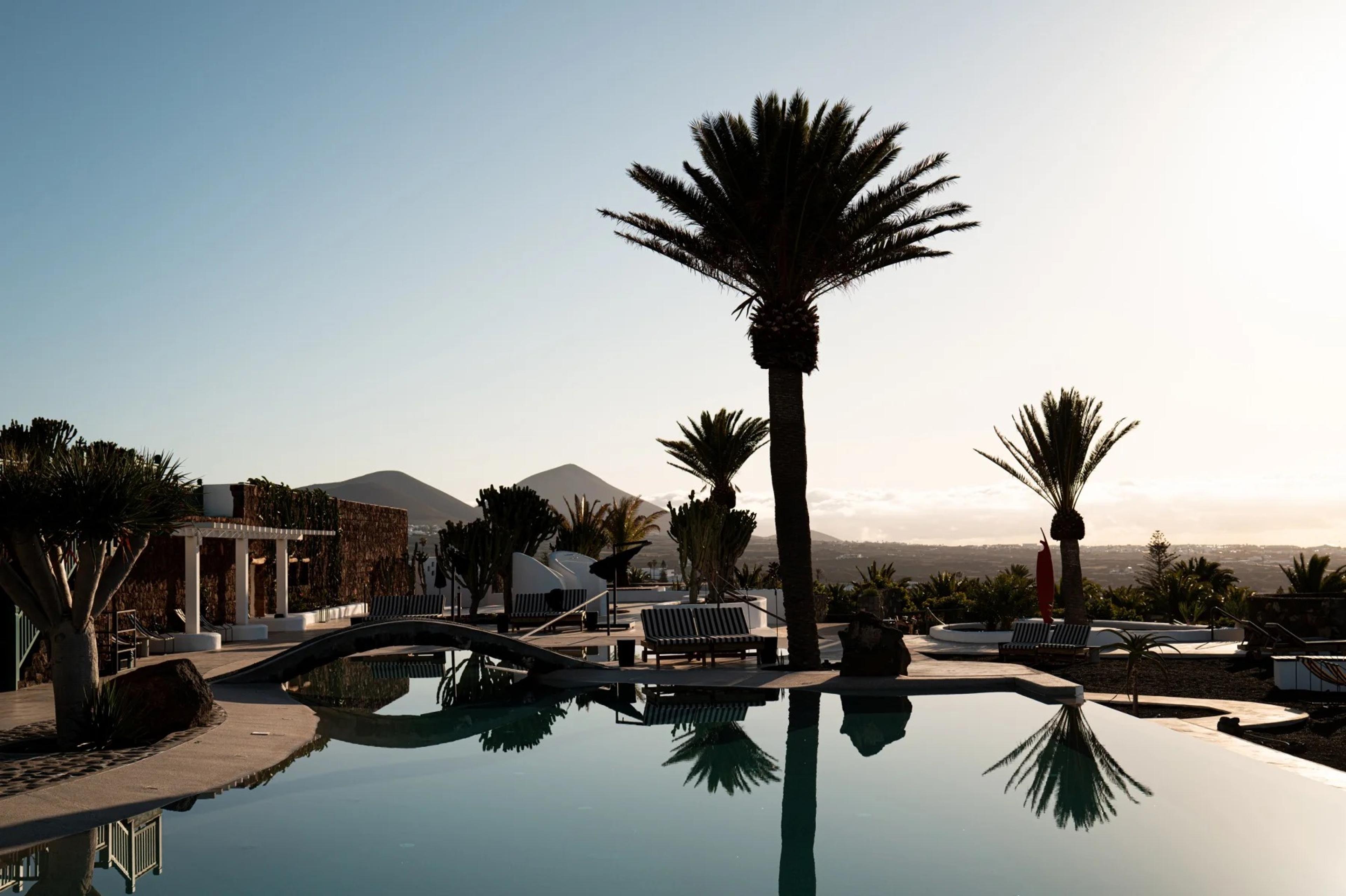 A swimming pool reflecting a palm tree and part of the white hotel building, with sun loungers along the far edge in late afternoon light.