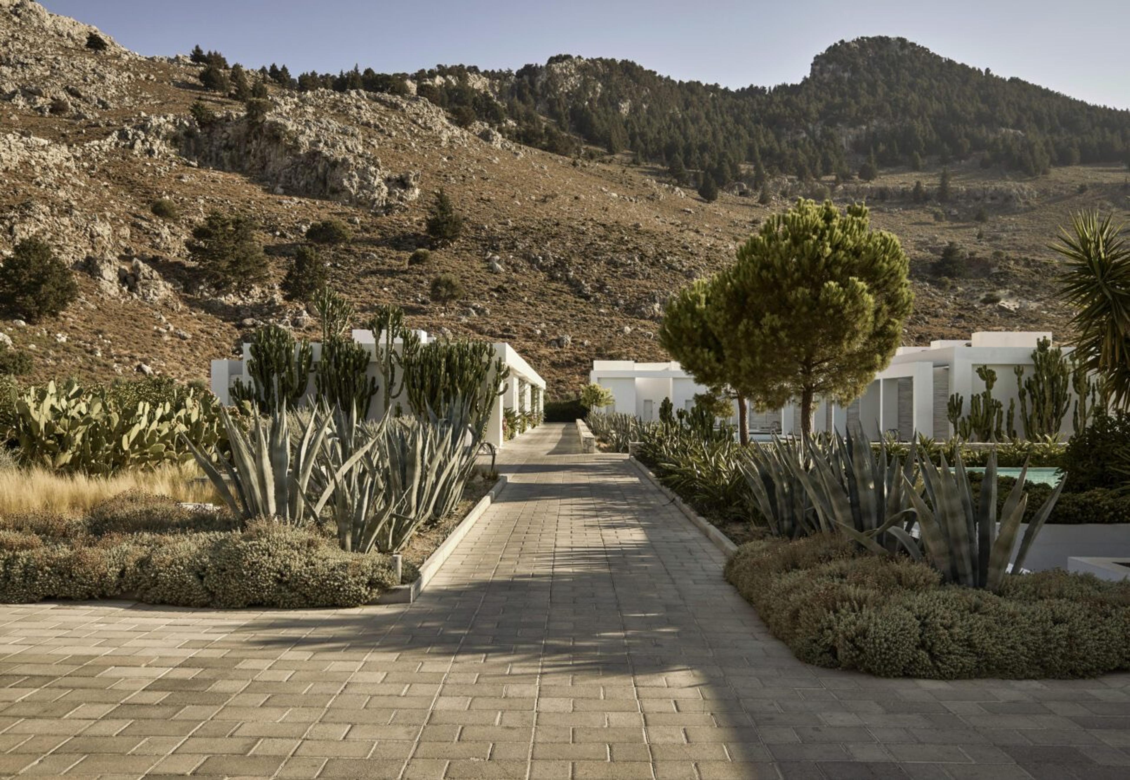 A paved path runs between low white-walled villas, with cacti and agave on either side and a dry rocky hillside rising behind under a clear sky.