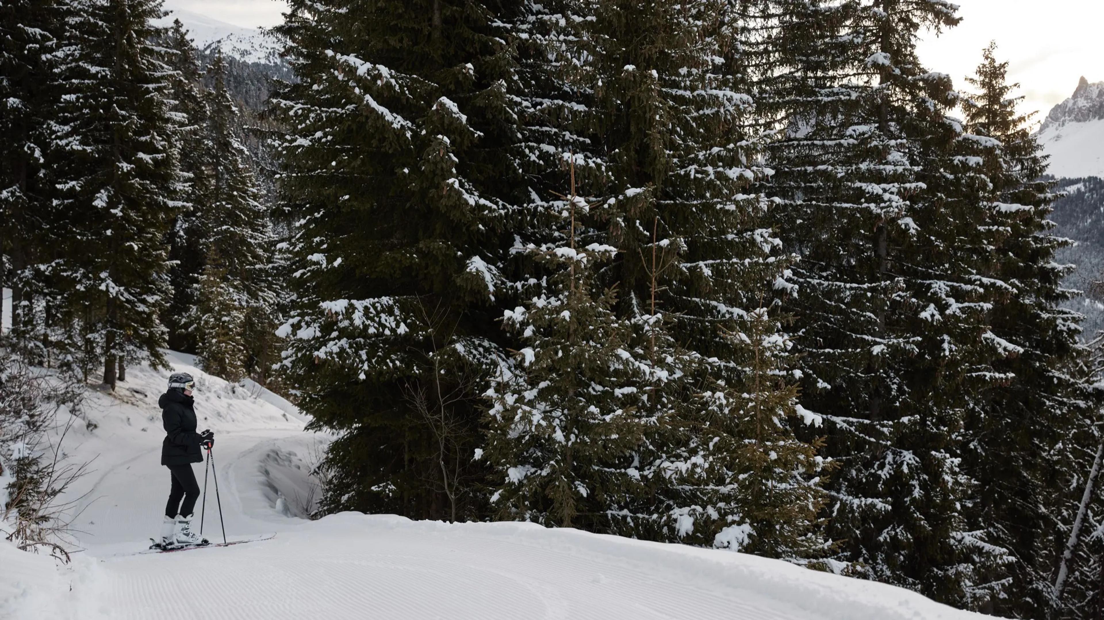 A cross-country skier in dark clothing pauses on a snow-covered trail beside tall snow-laden pines.