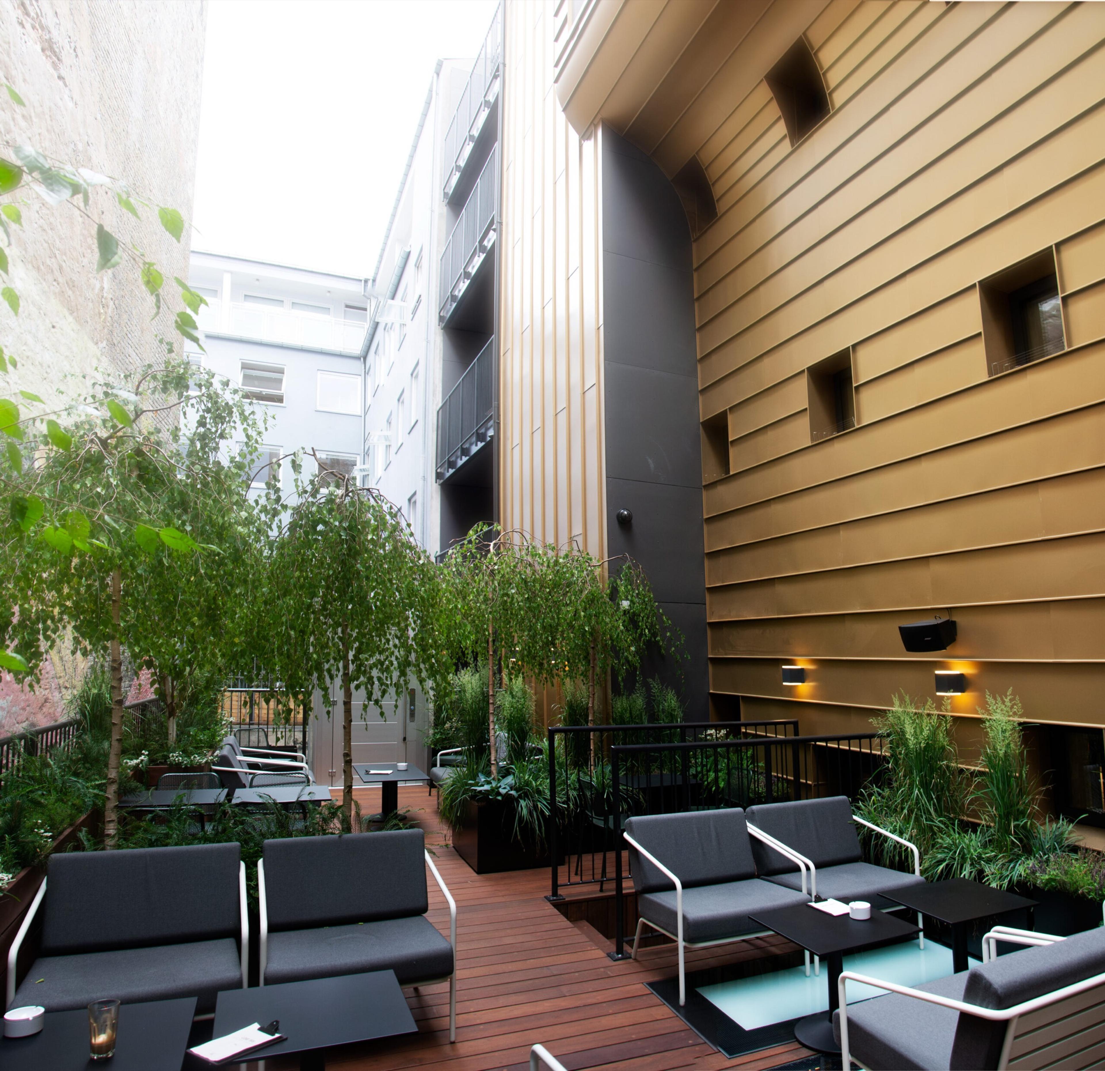 A courtyard with potted birch trees and outdoor seating on a wooden deck, beside a building with a gold ribbed facade and black cladding.