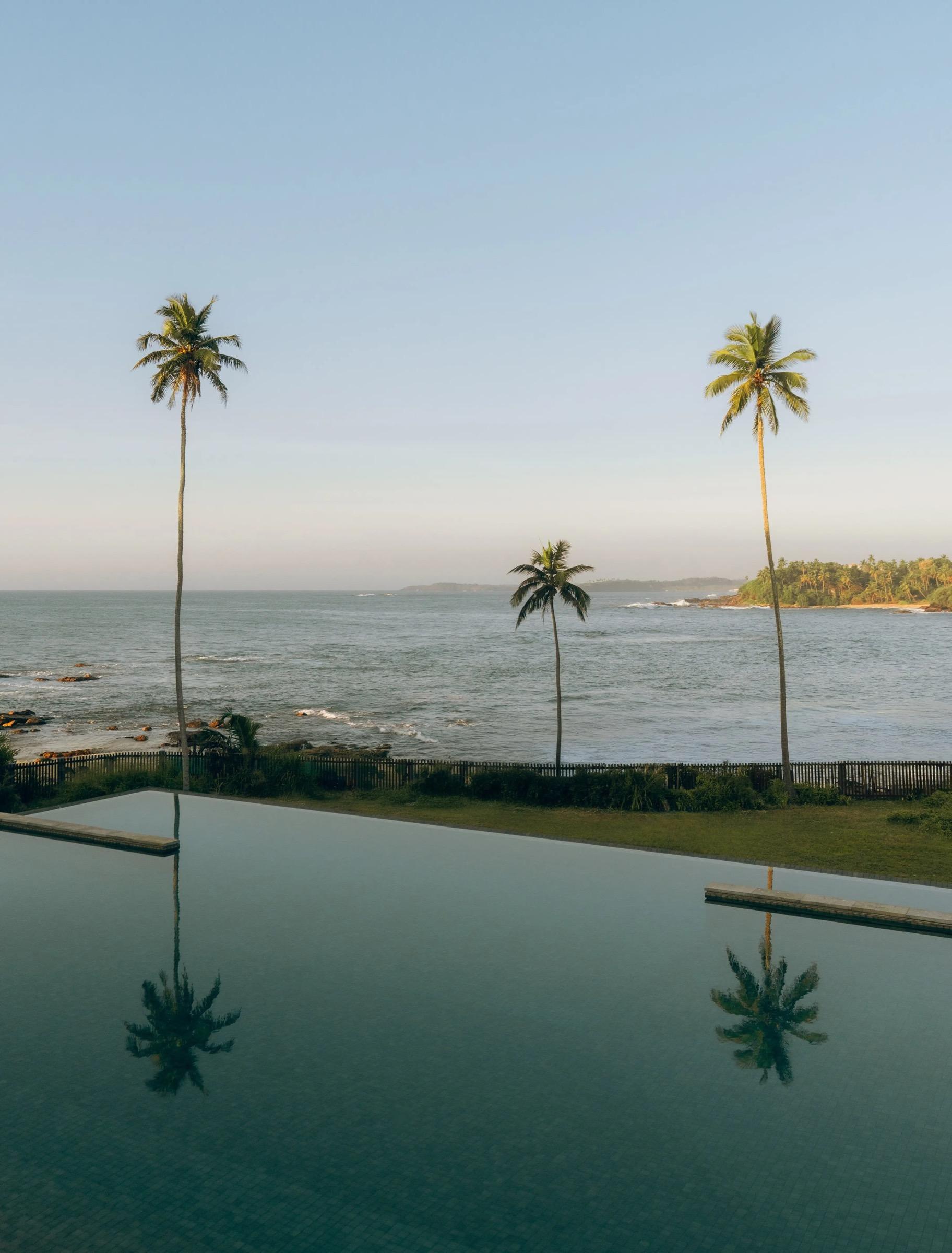 Three palm trees and their reflections beside an infinity pool, with a rocky shoreline and the sea beyond.