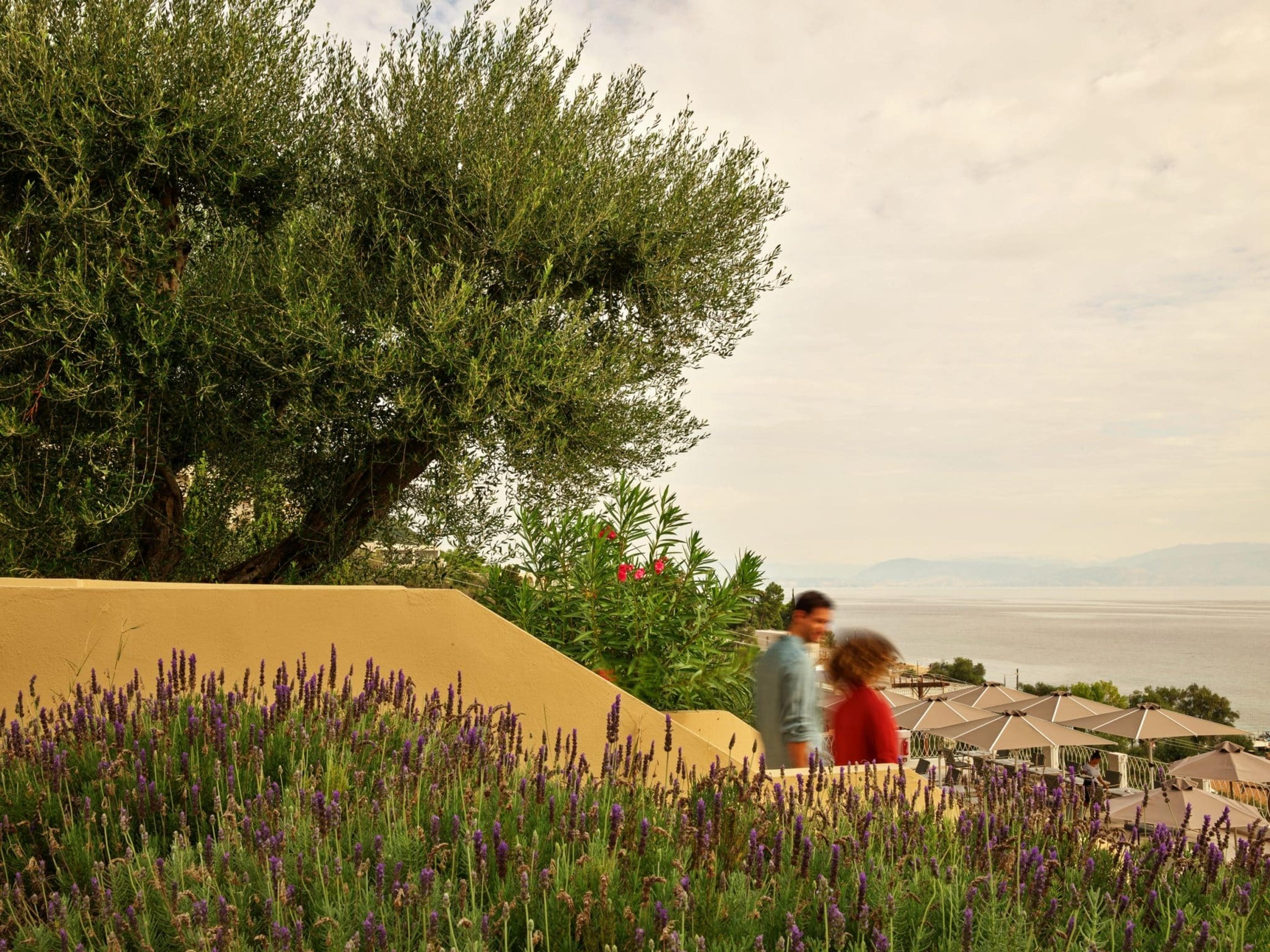 A terrace with rows of lavender and an olive tree above a stone wall, two people walking past in motion blur, with umbrella-shaded tables and the sea beyond.