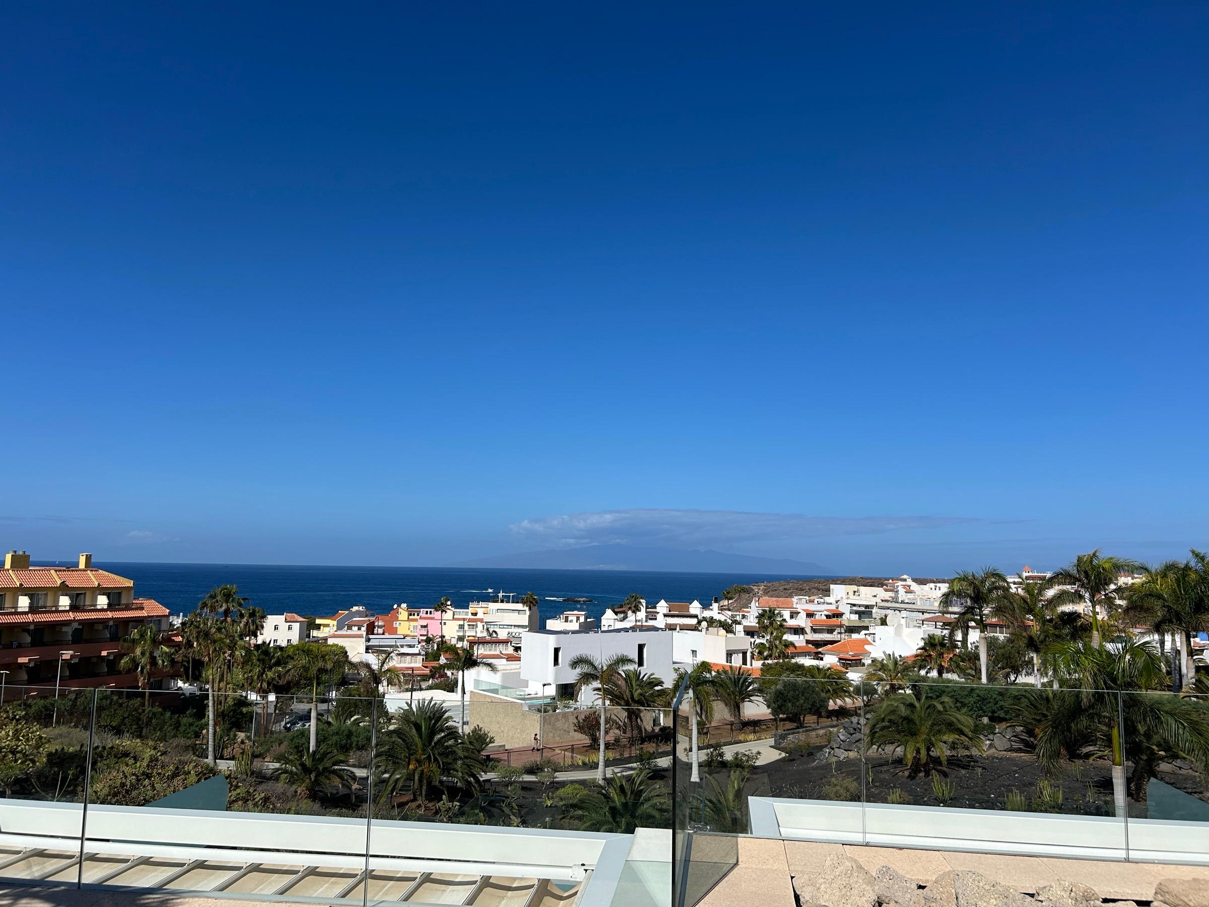 White villas and palms running down to the Atlantic on the south-west coast of Tenerife, with La Gomera on the horizon
