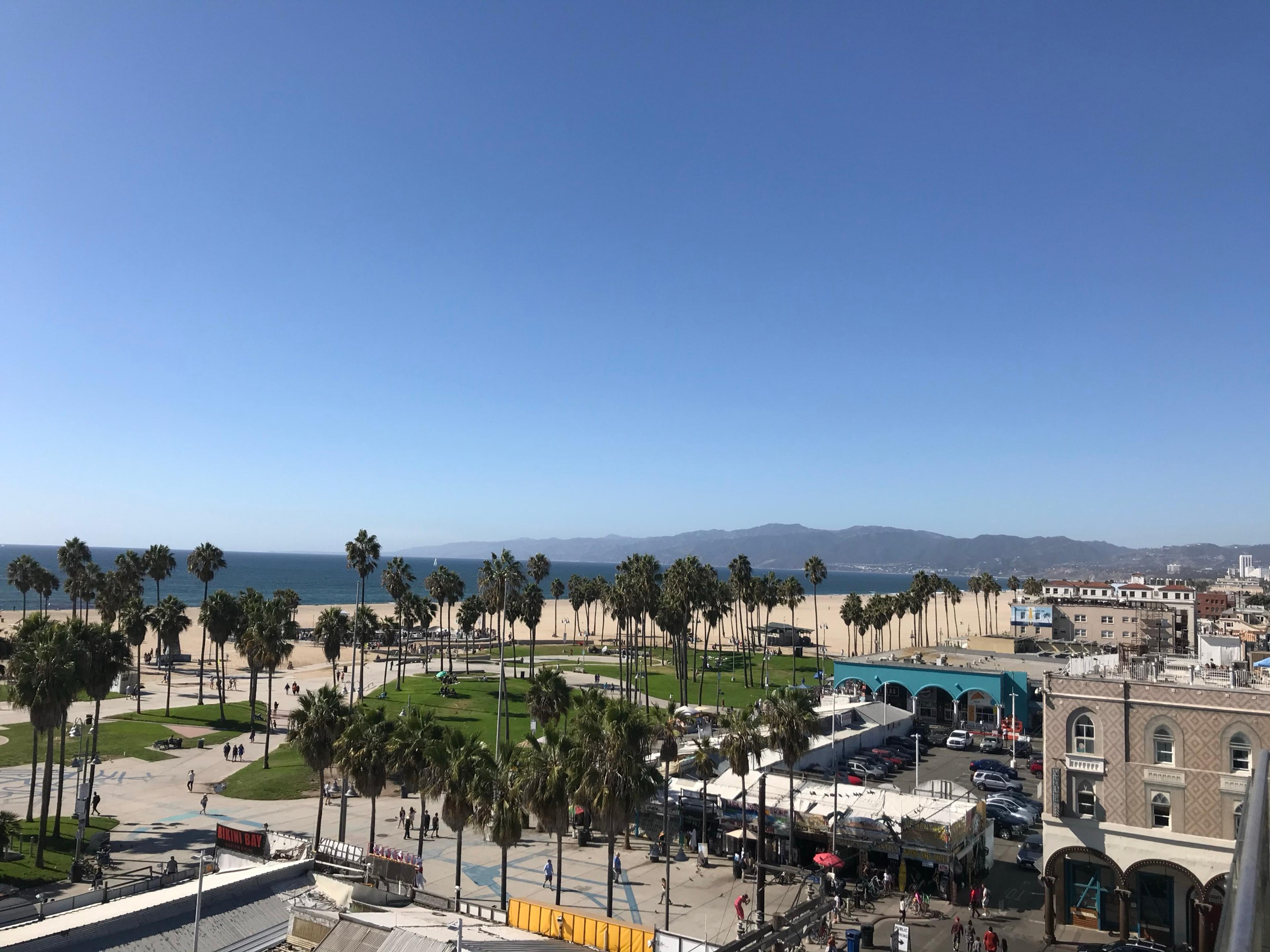 Venice Beach from a rooftop, palm trees over the boardwalk and the park, the Pacific and the Santa Monica Mountains beyond