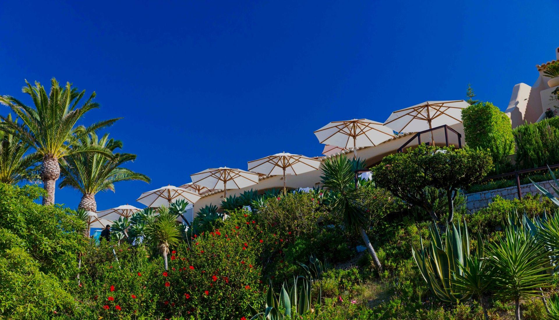 White sun umbrellas over a terrace on a planted hillside, with palm trees, agave and red flowering shrubs in the foreground and a hotel building visible above.