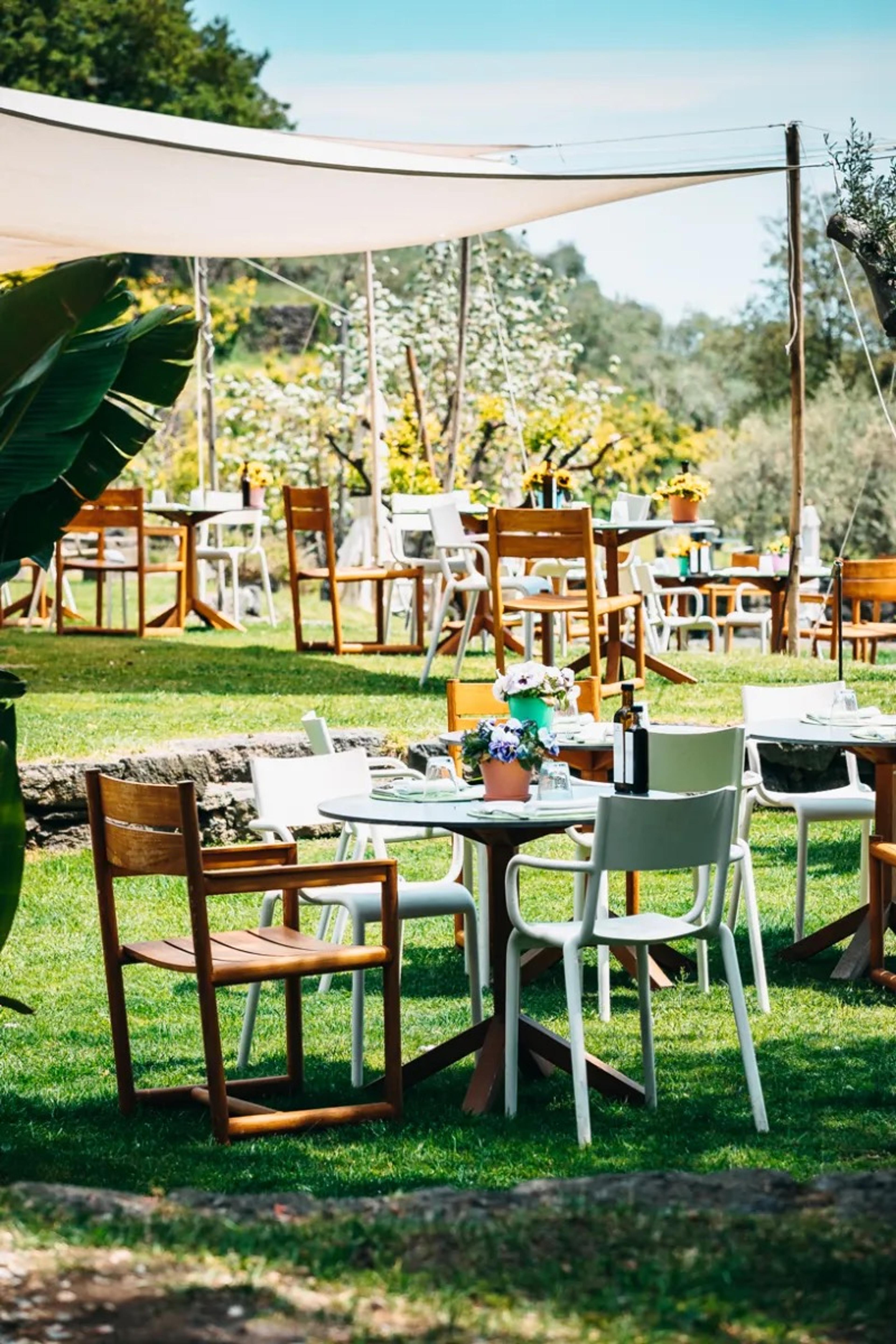 A shaded outdoor dining area with wooden and white chairs around round tables set for lunch on a lawn.