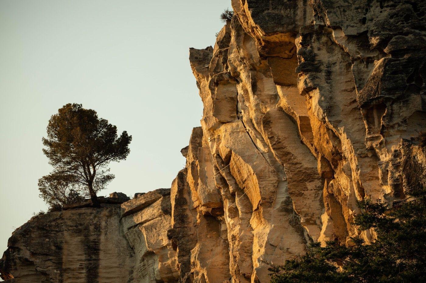 A pale limestone cliff face catches low sunlight beside a lone pine tree, under a pale sky.