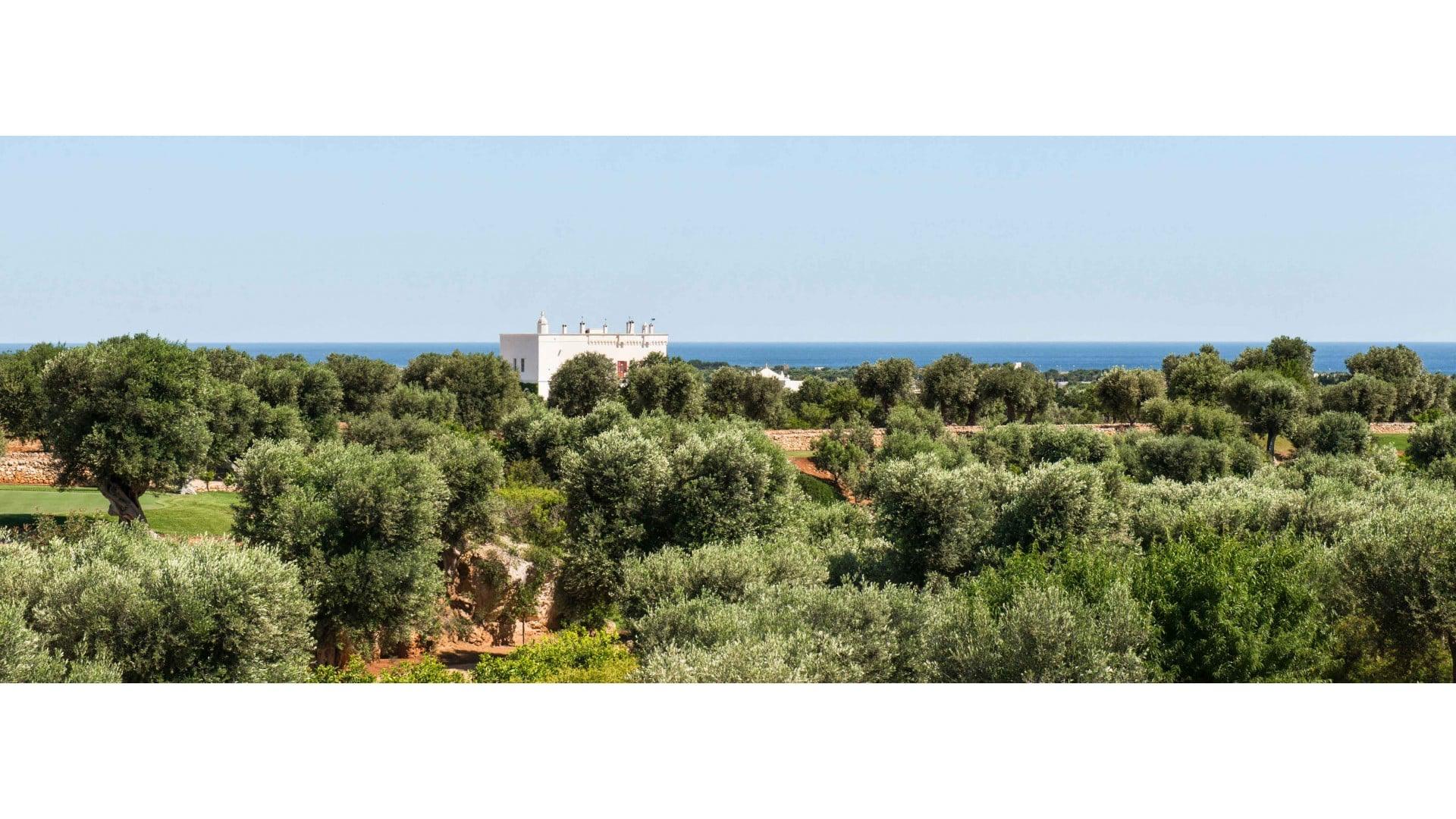 A white building with chimney stacks seen from a distance across olive groves, with the sea on the horizon.