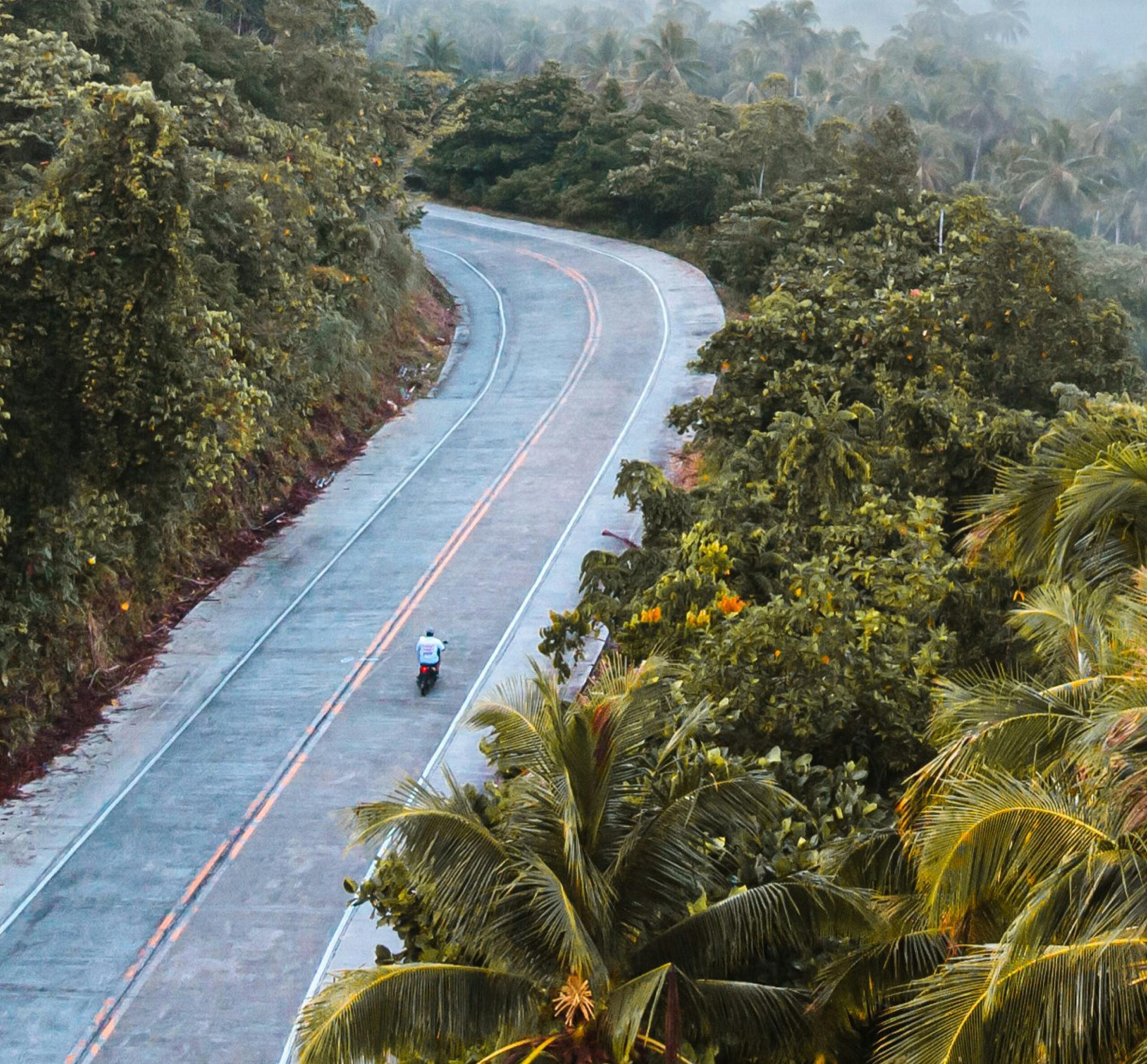 A road winds through jungle and palm trees as a motorbike rider heads along it, seen from above.