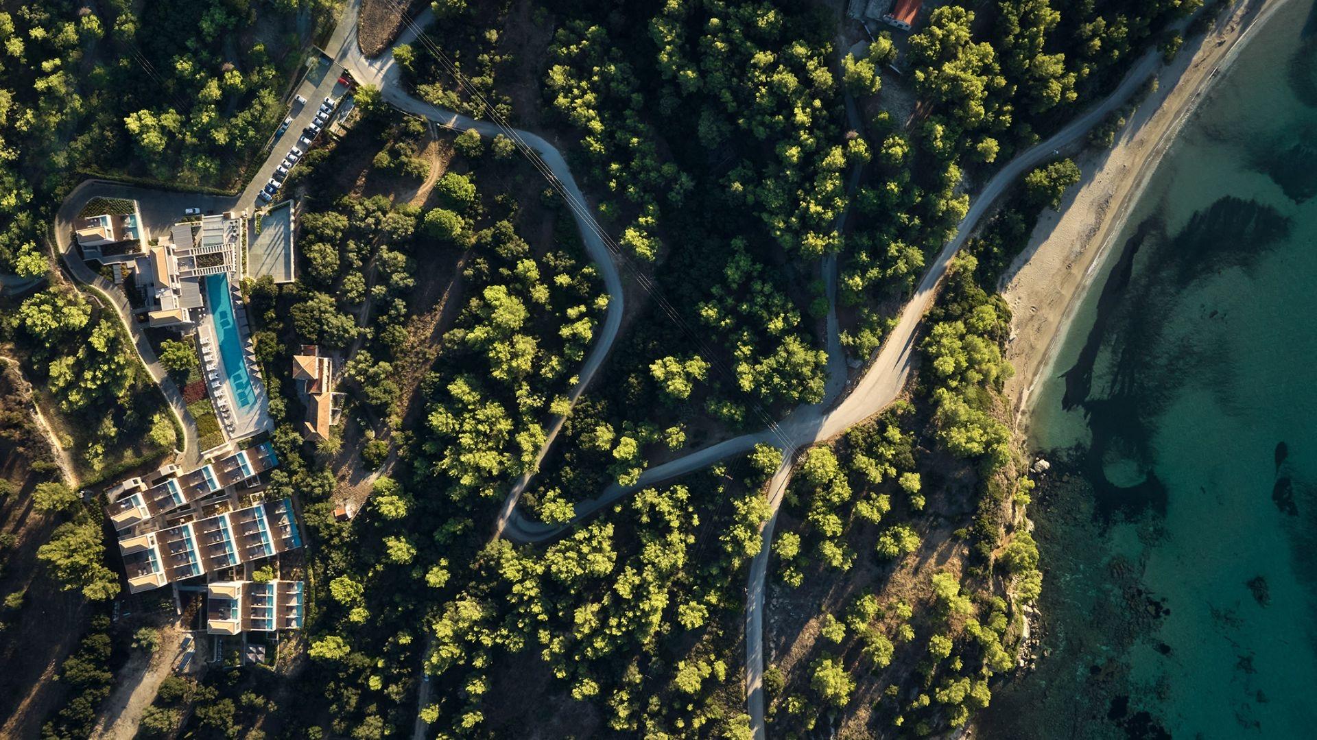 An aerial view of a coastal pine woodland with a path leading down to a beach, and a hotel complex with a pool visible in the lower left.
