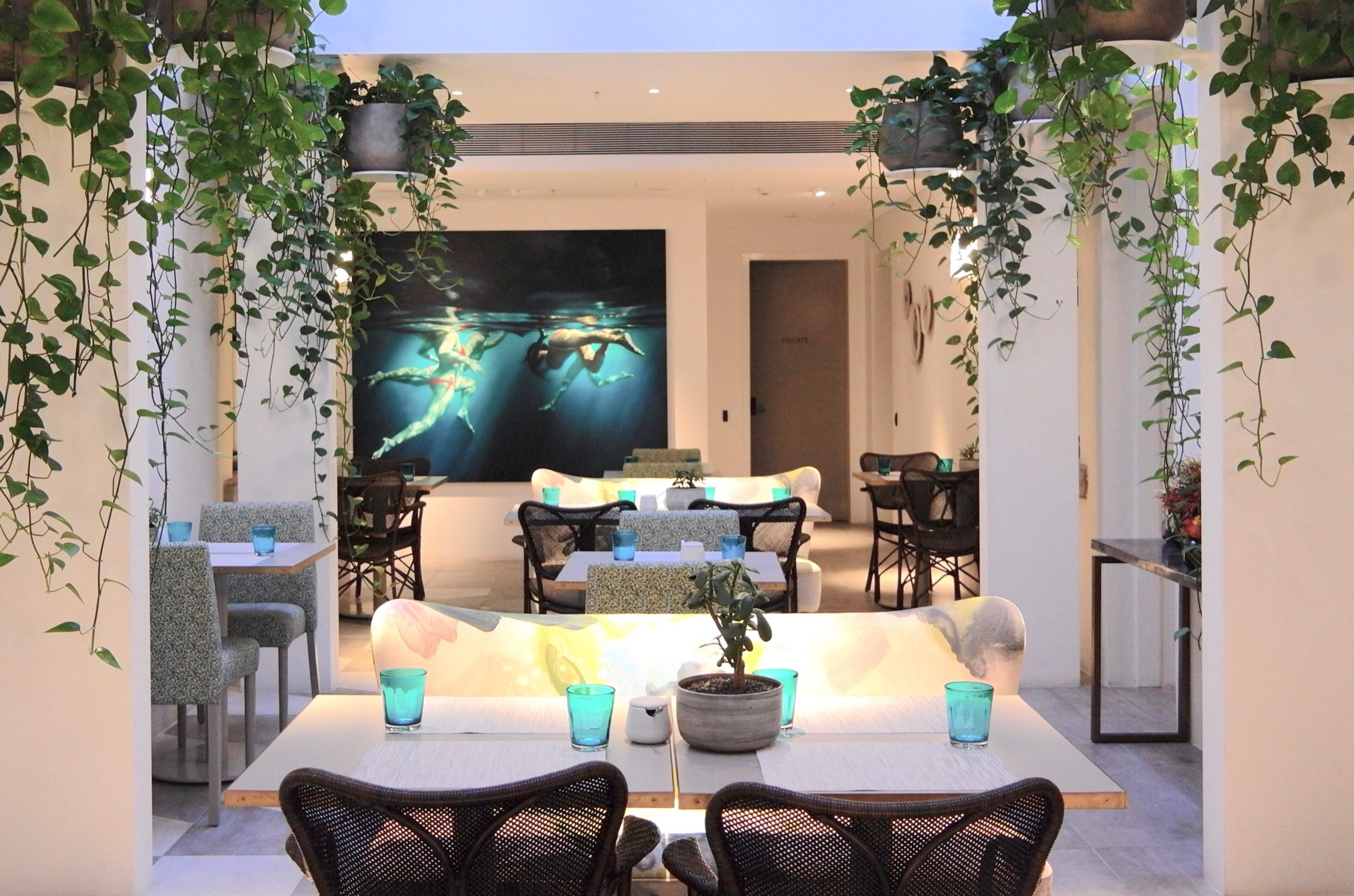 A lounge with plants trailing from above and pale furniture round a low table
