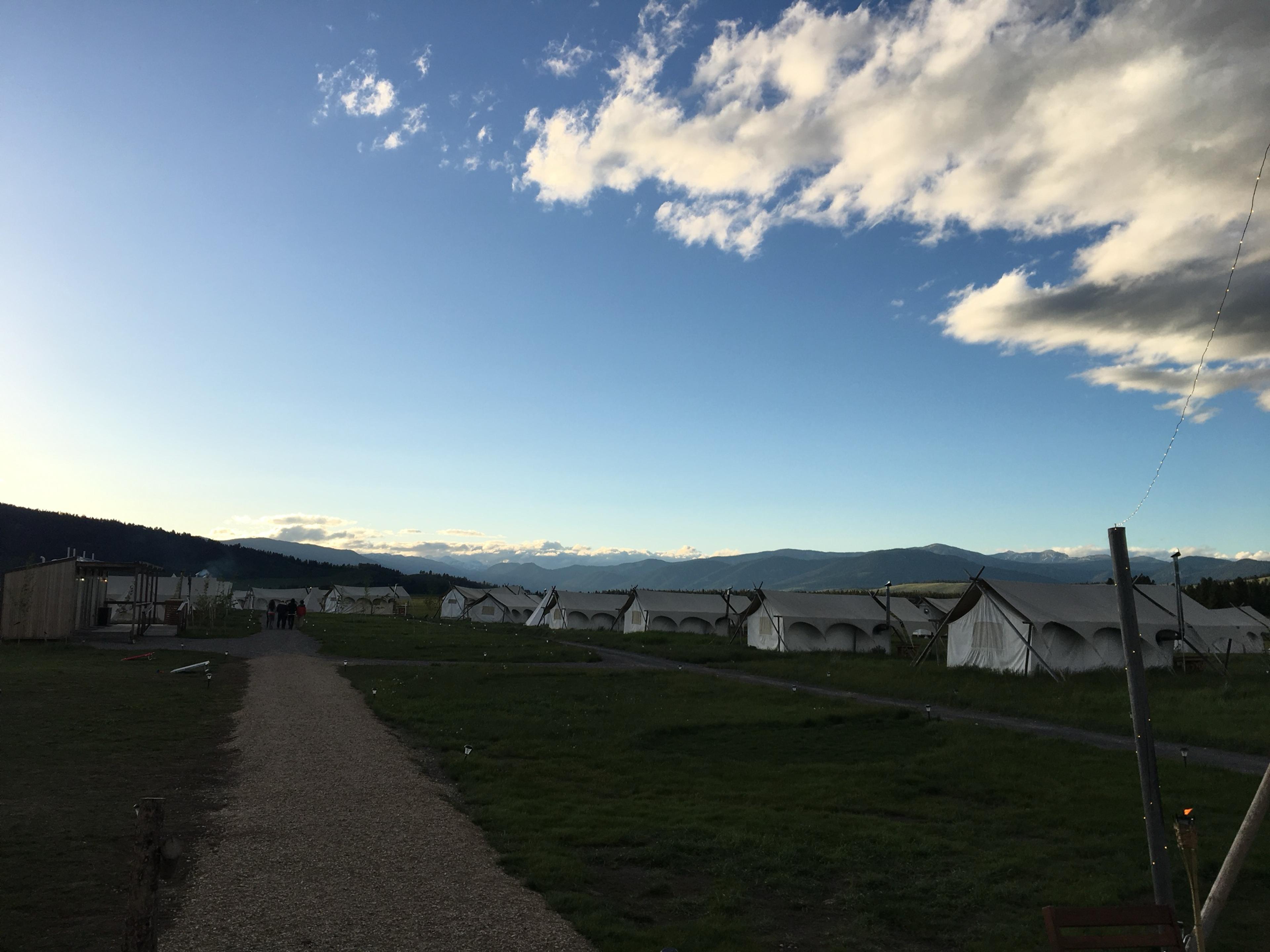 A gravel path leading to a row of white canvas tents on a meadow, under a deep blue evening sky