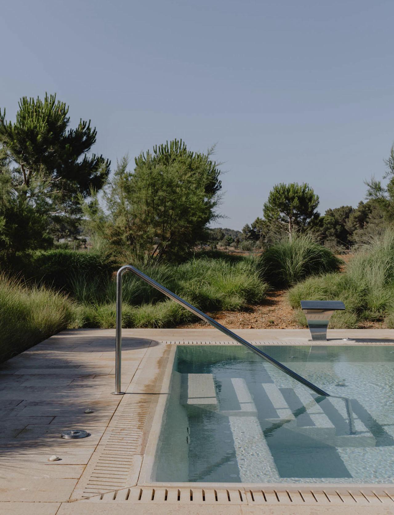 A rectangular swimming pool with a stainless steel handrail, set against pine trees, tall grasses and a pale sky.