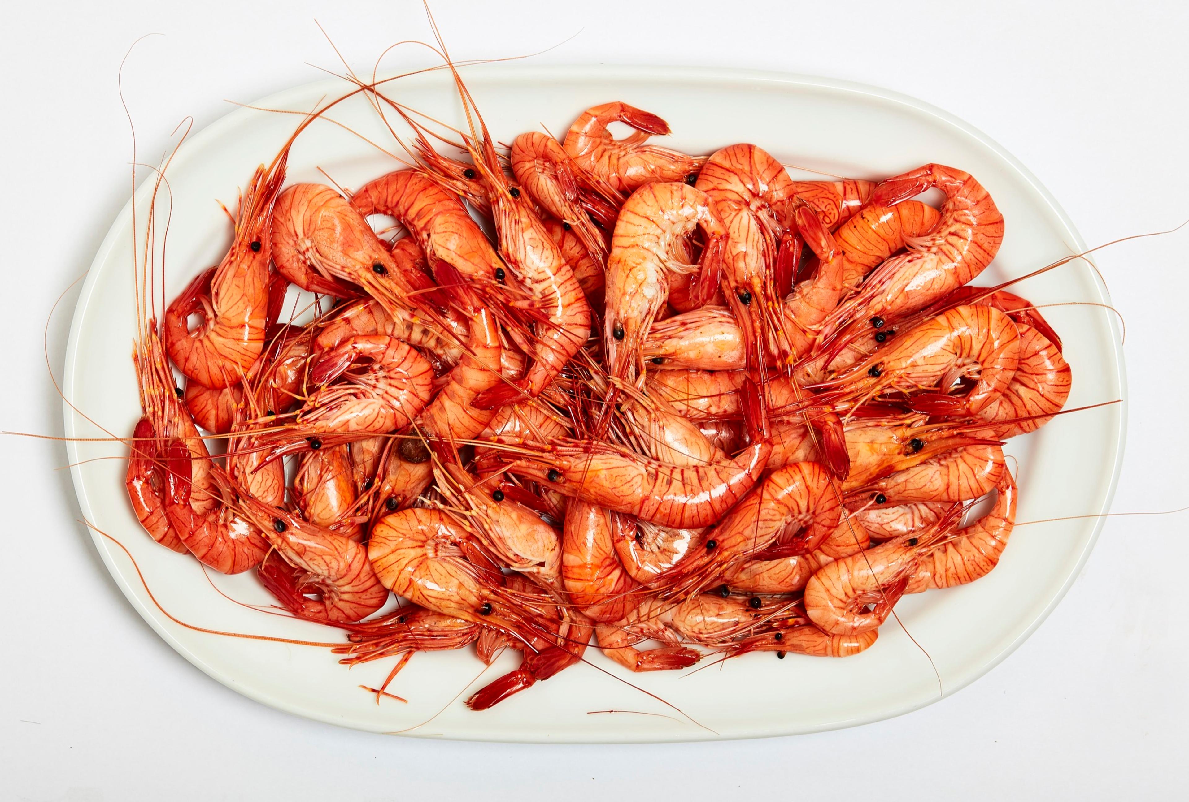 A plate of whole red prawns