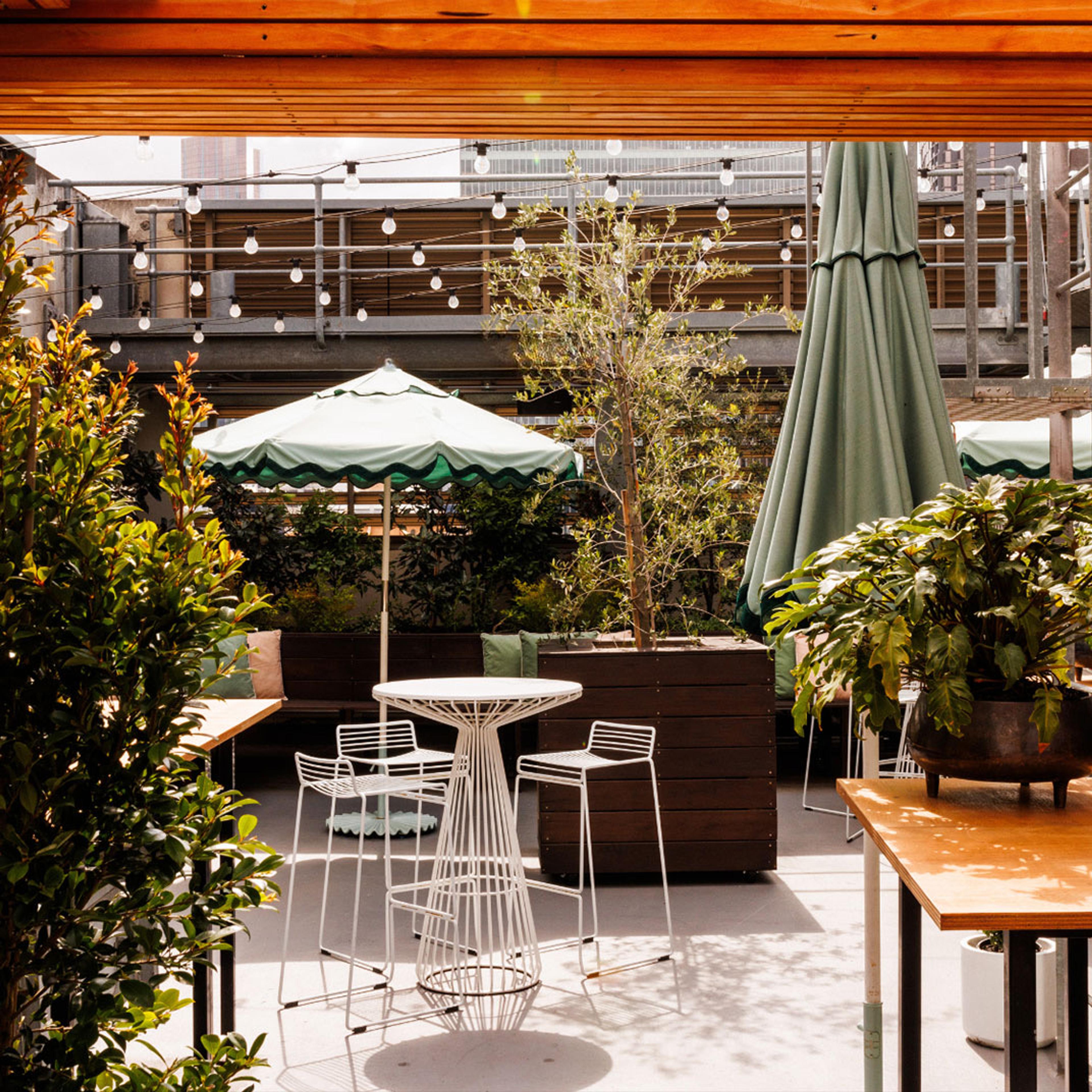 A leafy terrace with tables under umbrellas