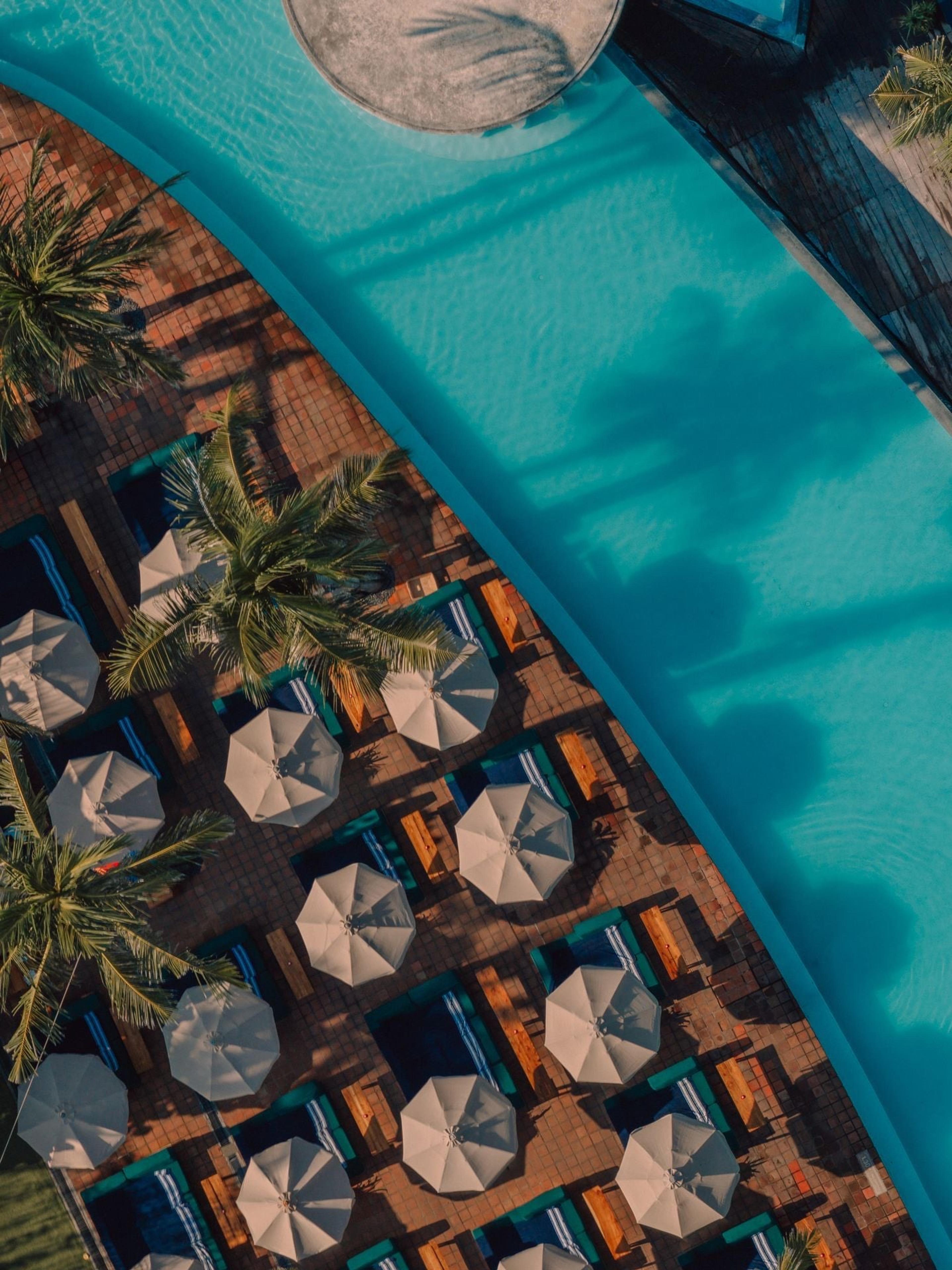 A drone view straight down on a curved pool deck lined with sunbeds and white umbrellas beside turquoise water, palm trees reaching into the frame.