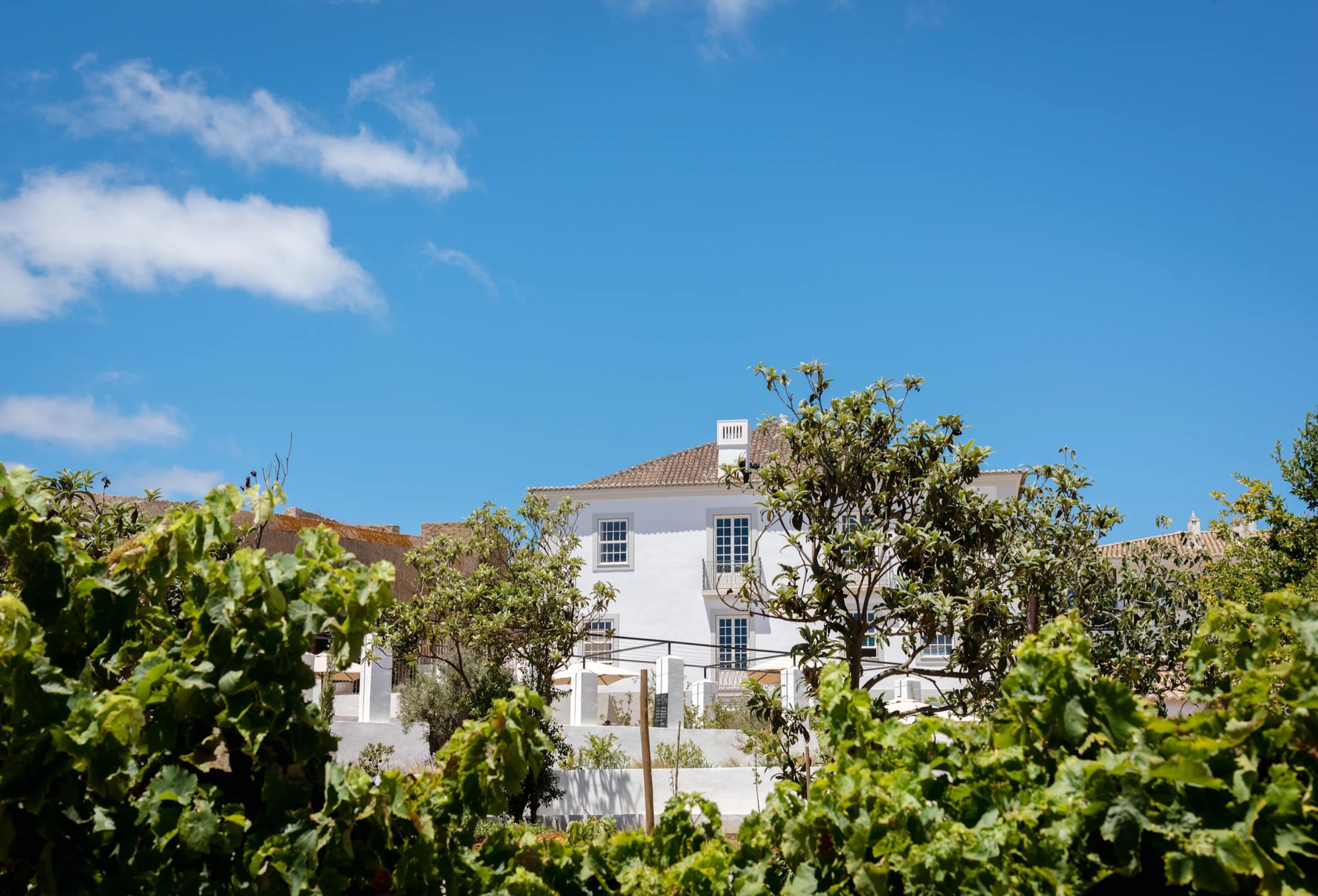 A white two-storey house with a tiled roof, seen over green vines under a blue sky