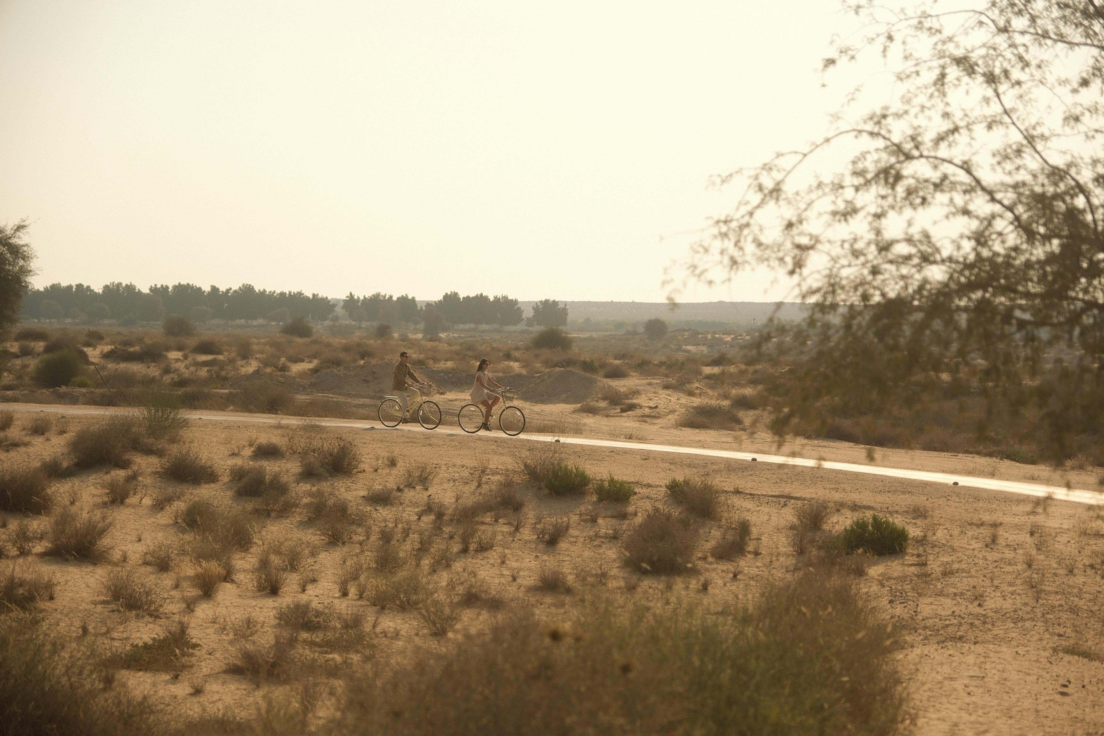 Two cyclists ride a paved path through scrubby desert planting at golden hour, seen from a distance.
