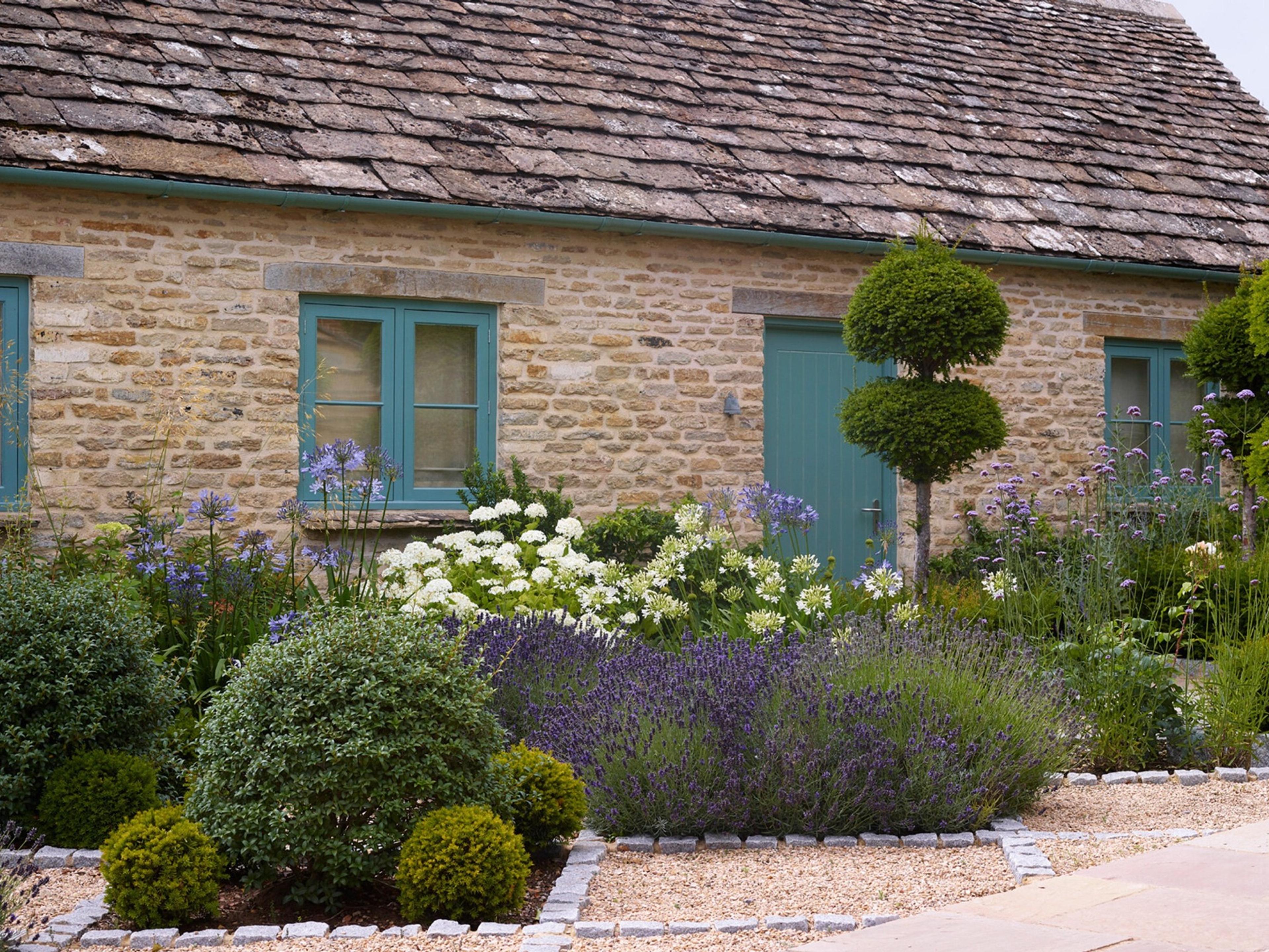 A honey-stone cottage with teal windows behind a garden of lavender, agapanthus and clipped box