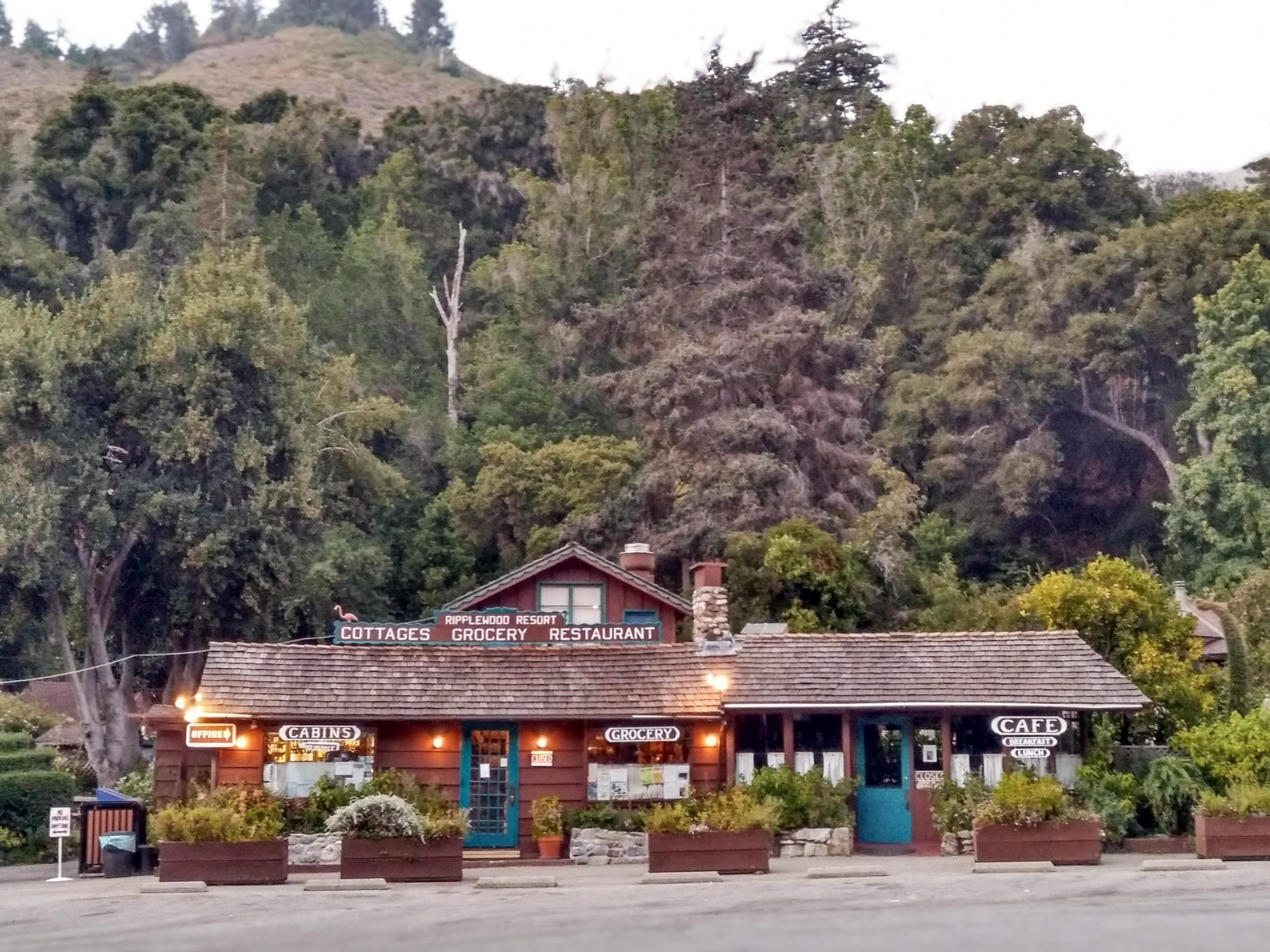 A small timber cafe beside the highway, under redwoods and a wooded hill.