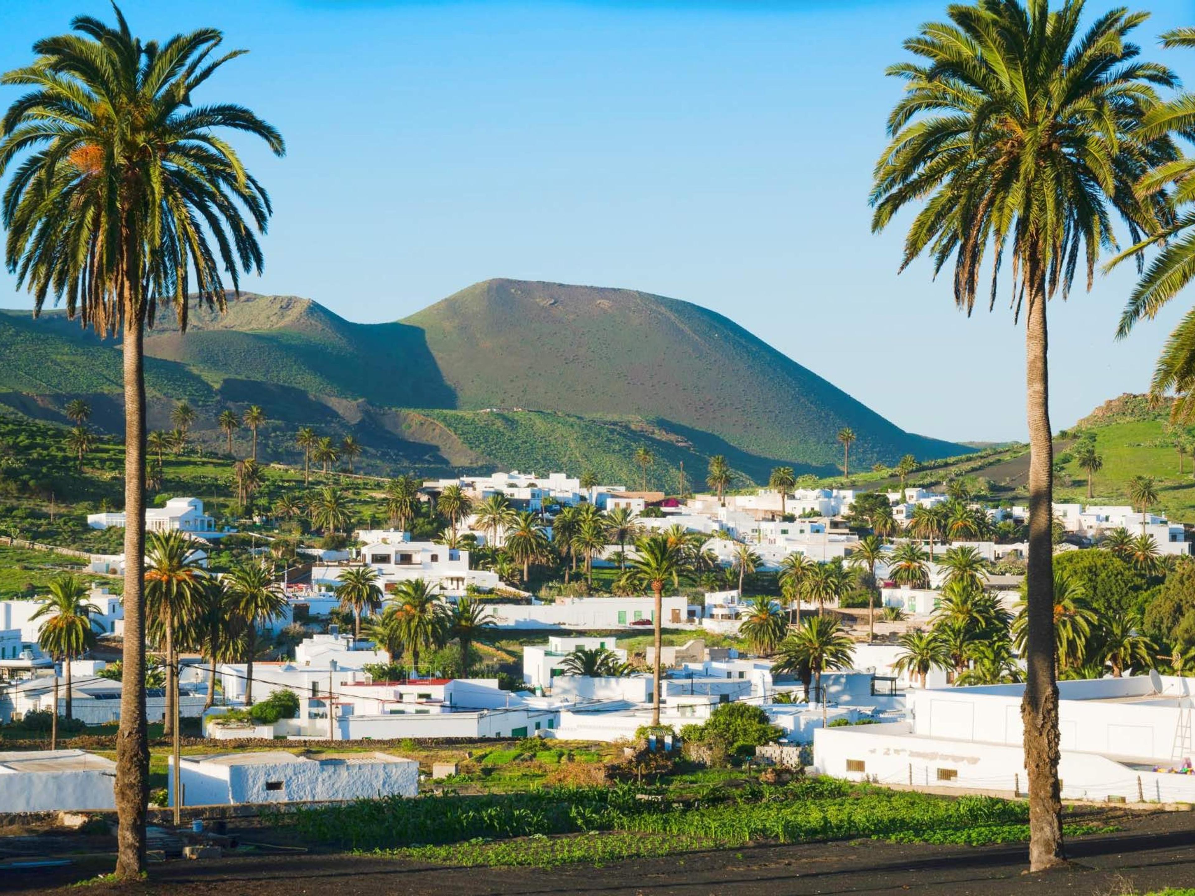Tall palms over a whitewashed village in a green valley, with a volcanic hill behind