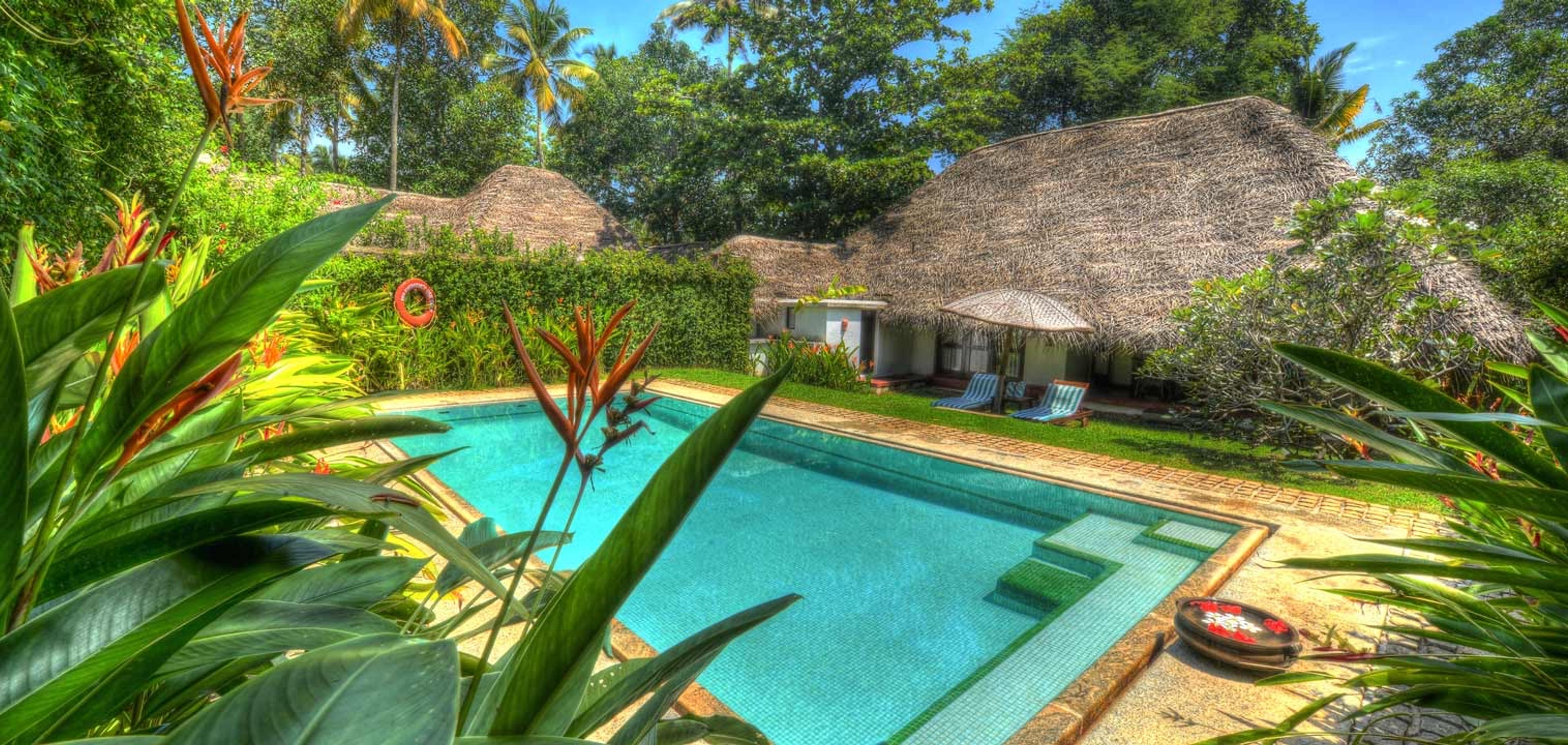 A rectangular swimming pool bordered by stone paving in front of thatched roof cottages, with palm trees and a clear blue sky above.