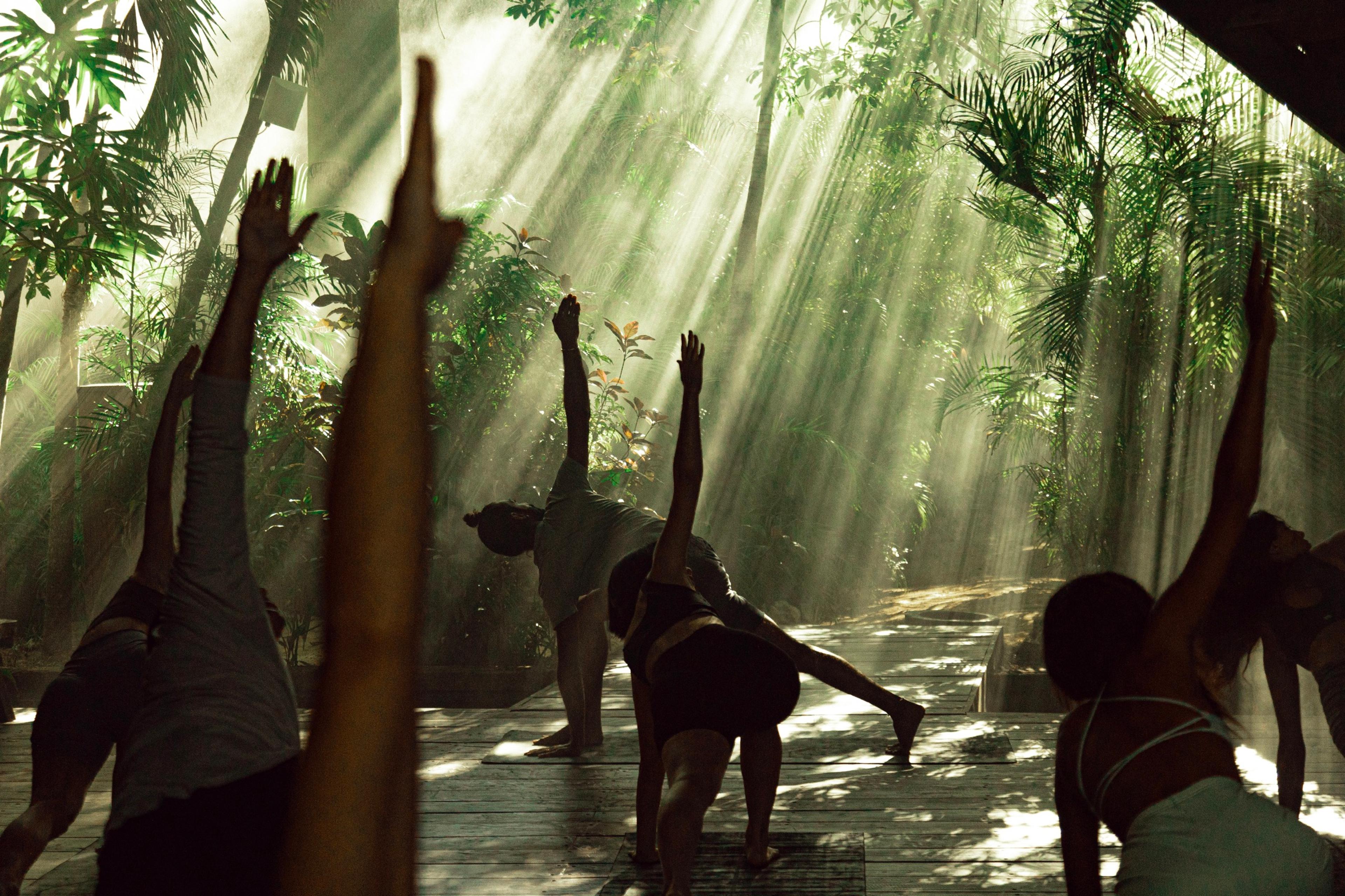 People doing yoga on a wooden deck in a jungle clearing, sunlight streaming through the trees, seen from behind.